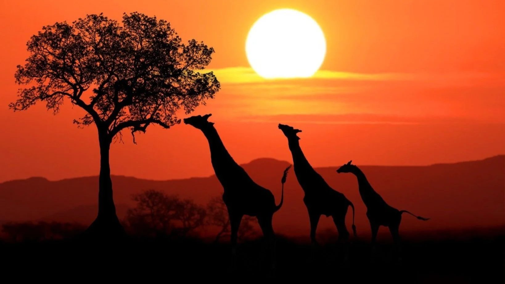 Tansania Safari ab Arusha