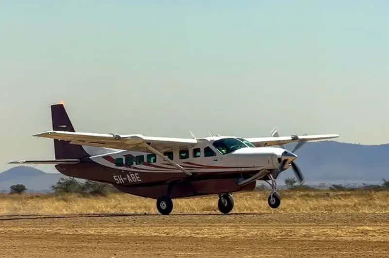 Per Flugzeug in die Serengeti: ab etwa einer Stunde Flugzeit ab Arusha (Foto: Auric Air)