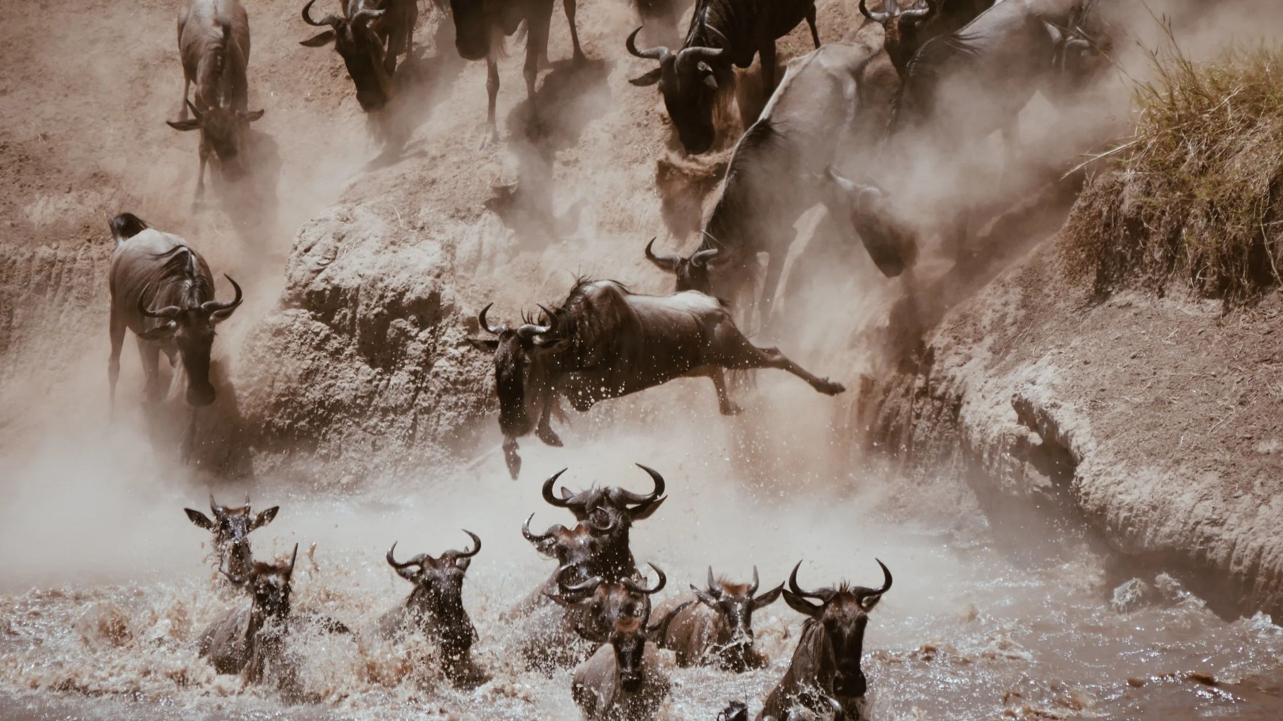 Serengeti Safari Tansania mit arusha safaris