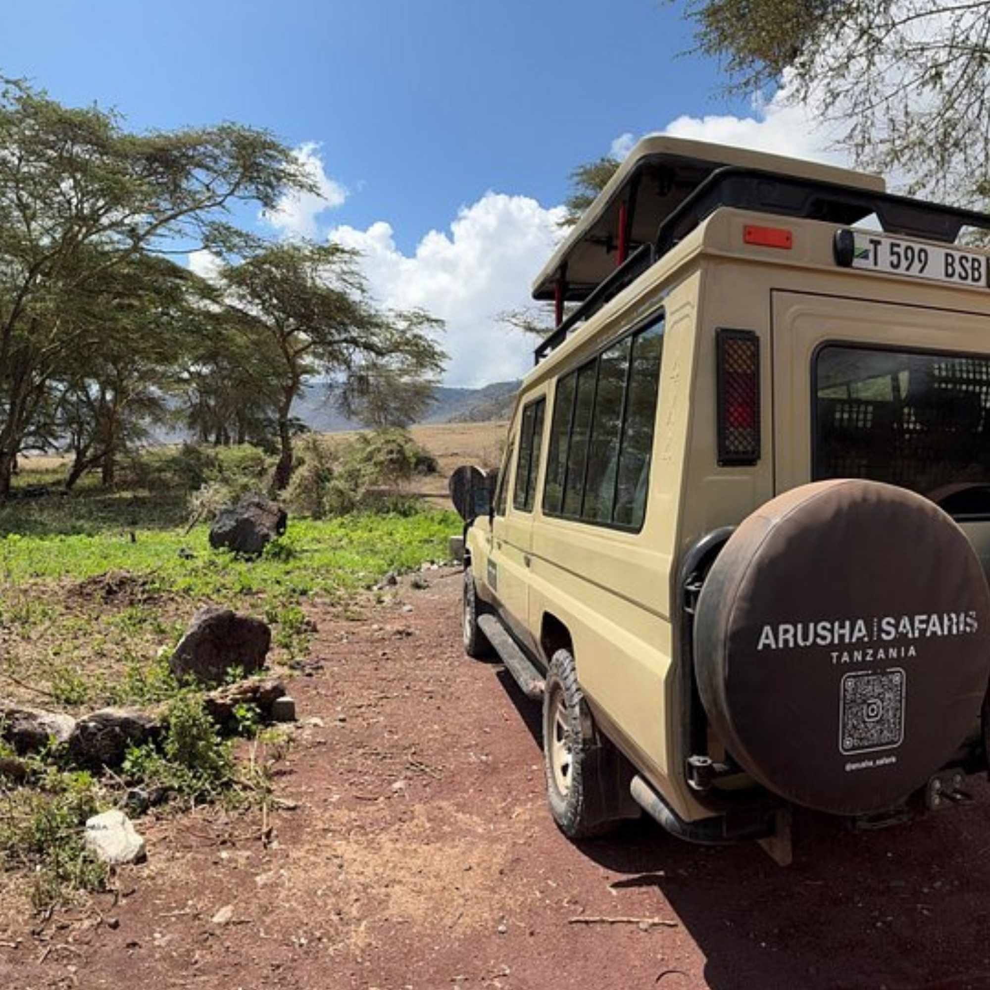 Bester Veranstalter Tansania Safari