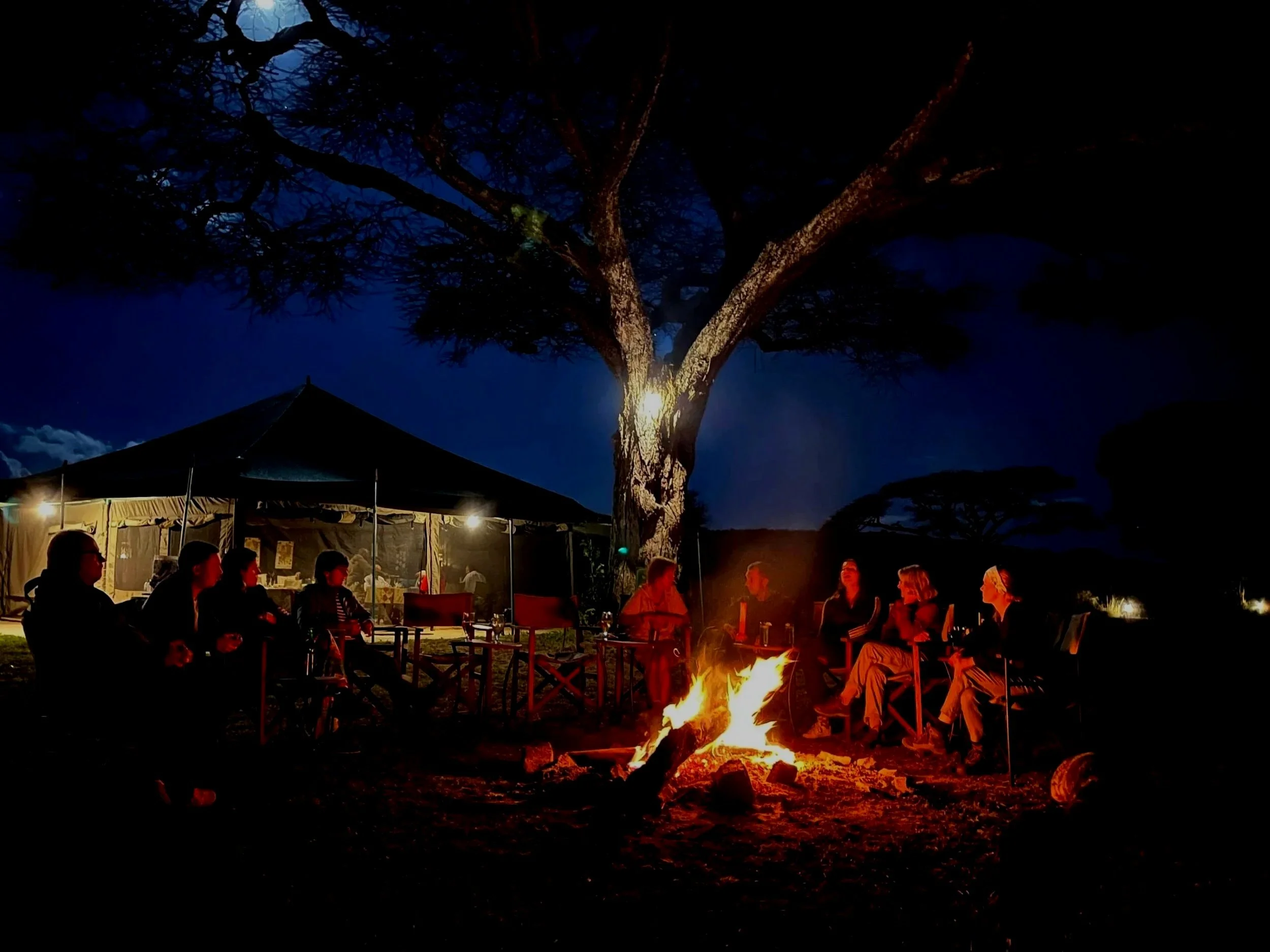Tanzania Safari Veranstalter in Deutschland und Tansania