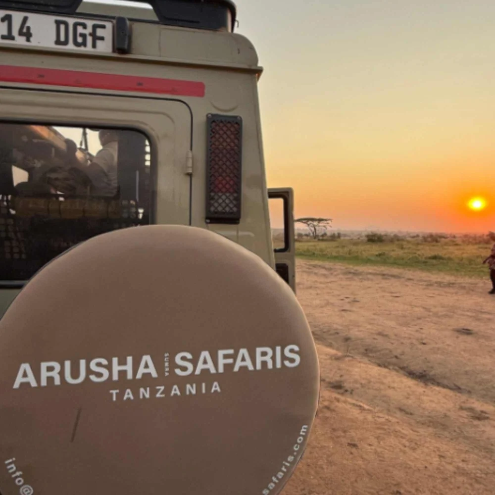 Safari-Jeep von Arusha Safaris in Arusha
