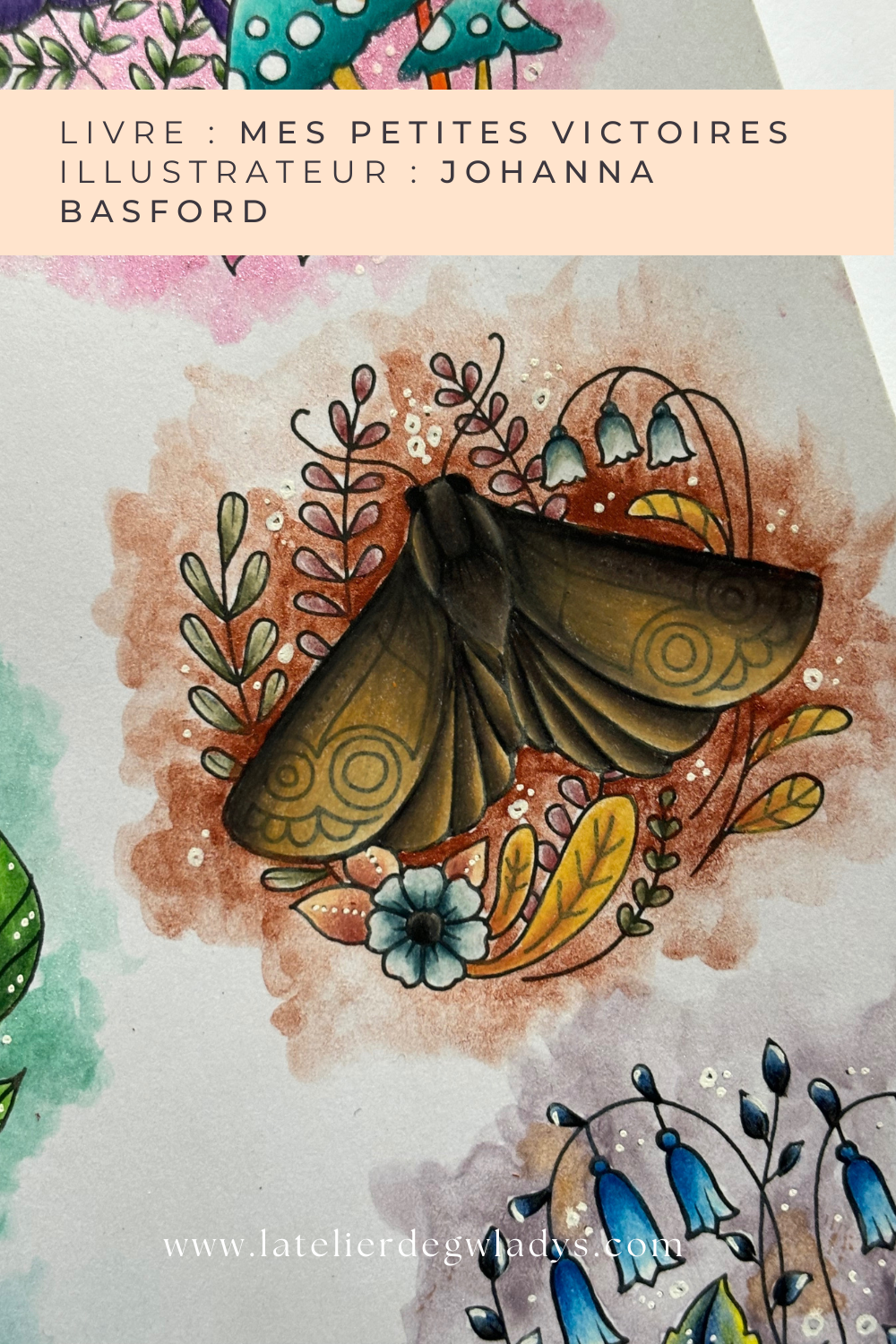 comment-colorier-la-nature-l-atelier-degwladys-papillon-denuit.png