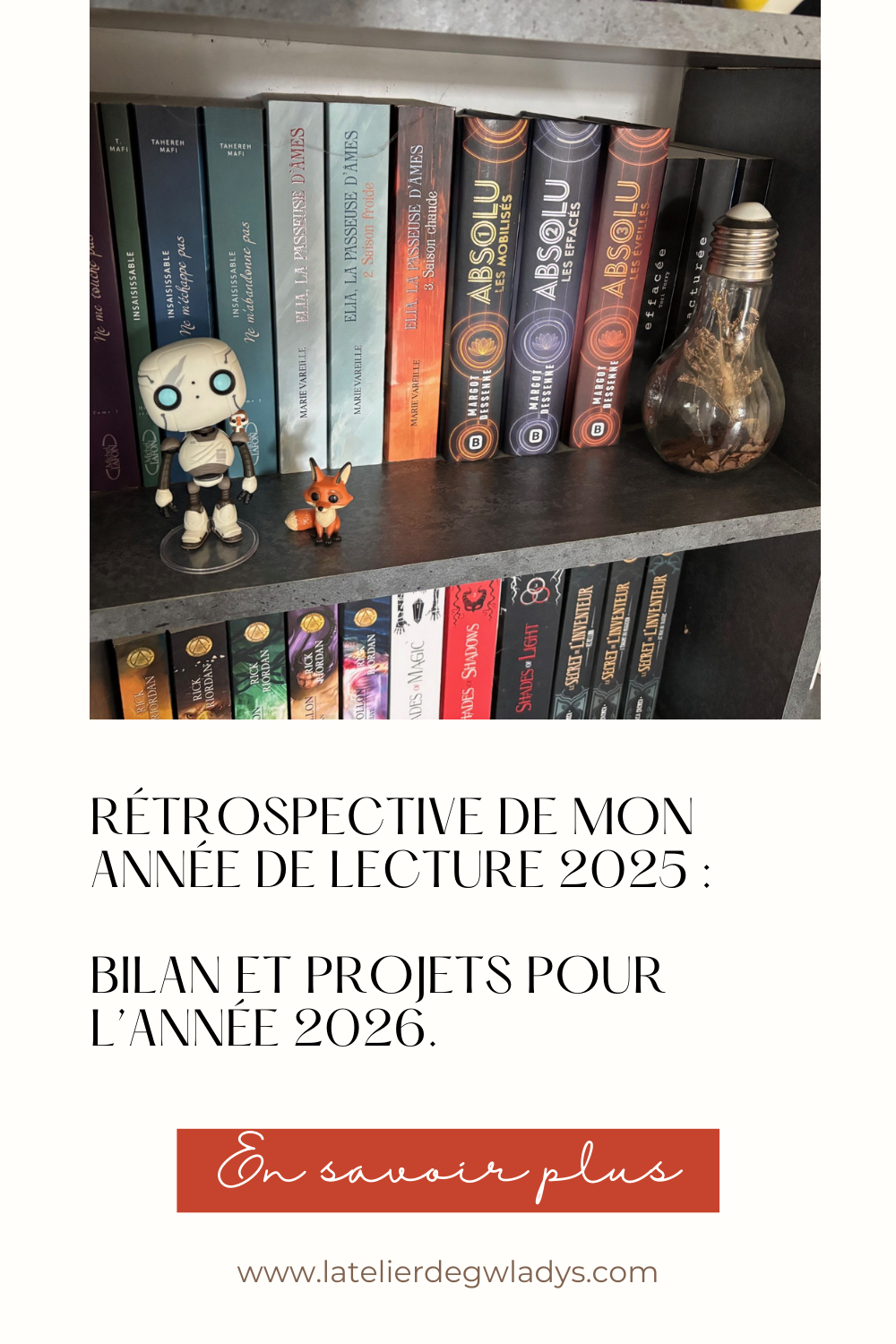Epingle 4 - Bilan lecture 2025 statistiques et projets 2026.png