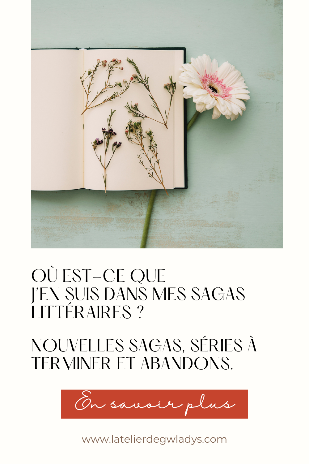 Epingle 4 - Sagas littéraires - nouvelles - encours - abandopns.png