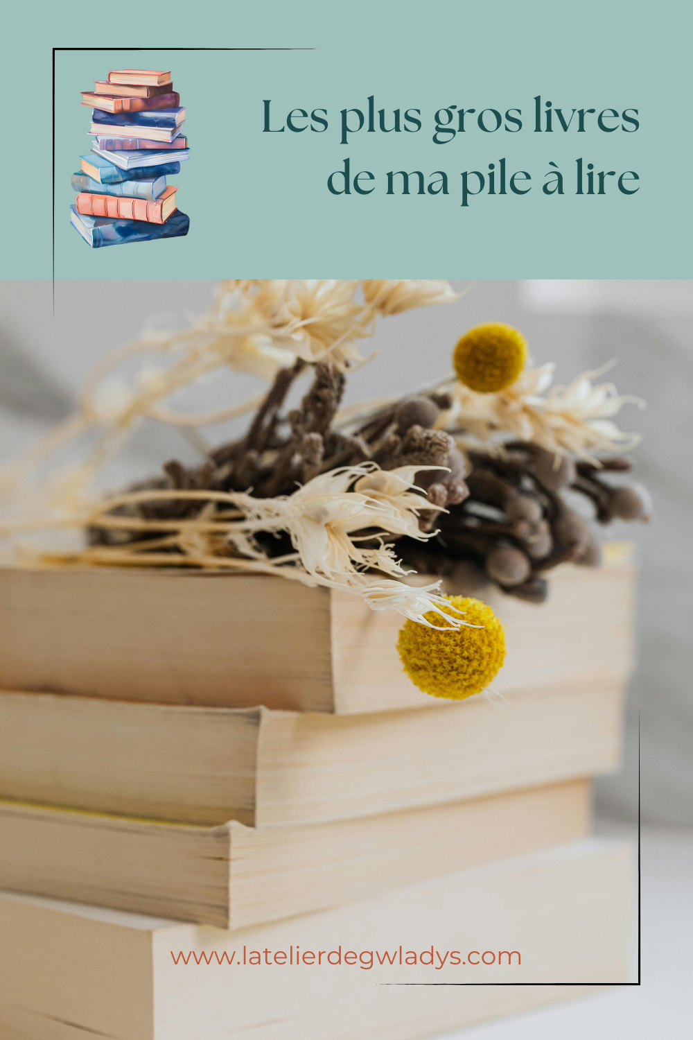 Epingle 2 - Mes plus gros livres de ma PAL.png