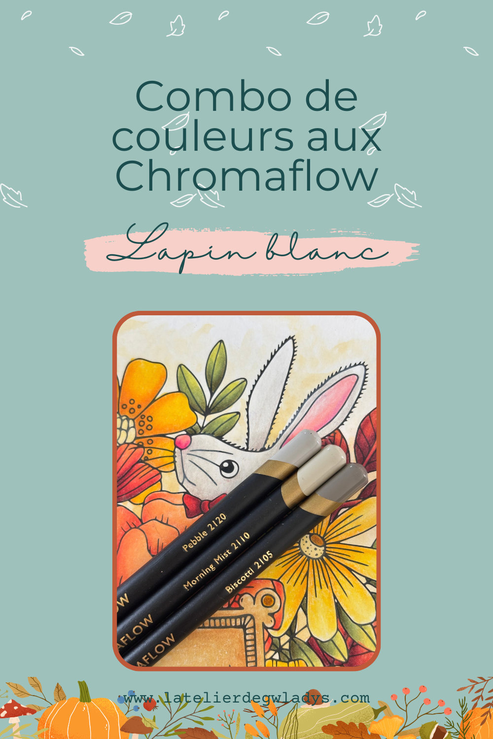 l-atelier-de-gwladys-combo-couleur-chromaflow-lapin-blanc.png