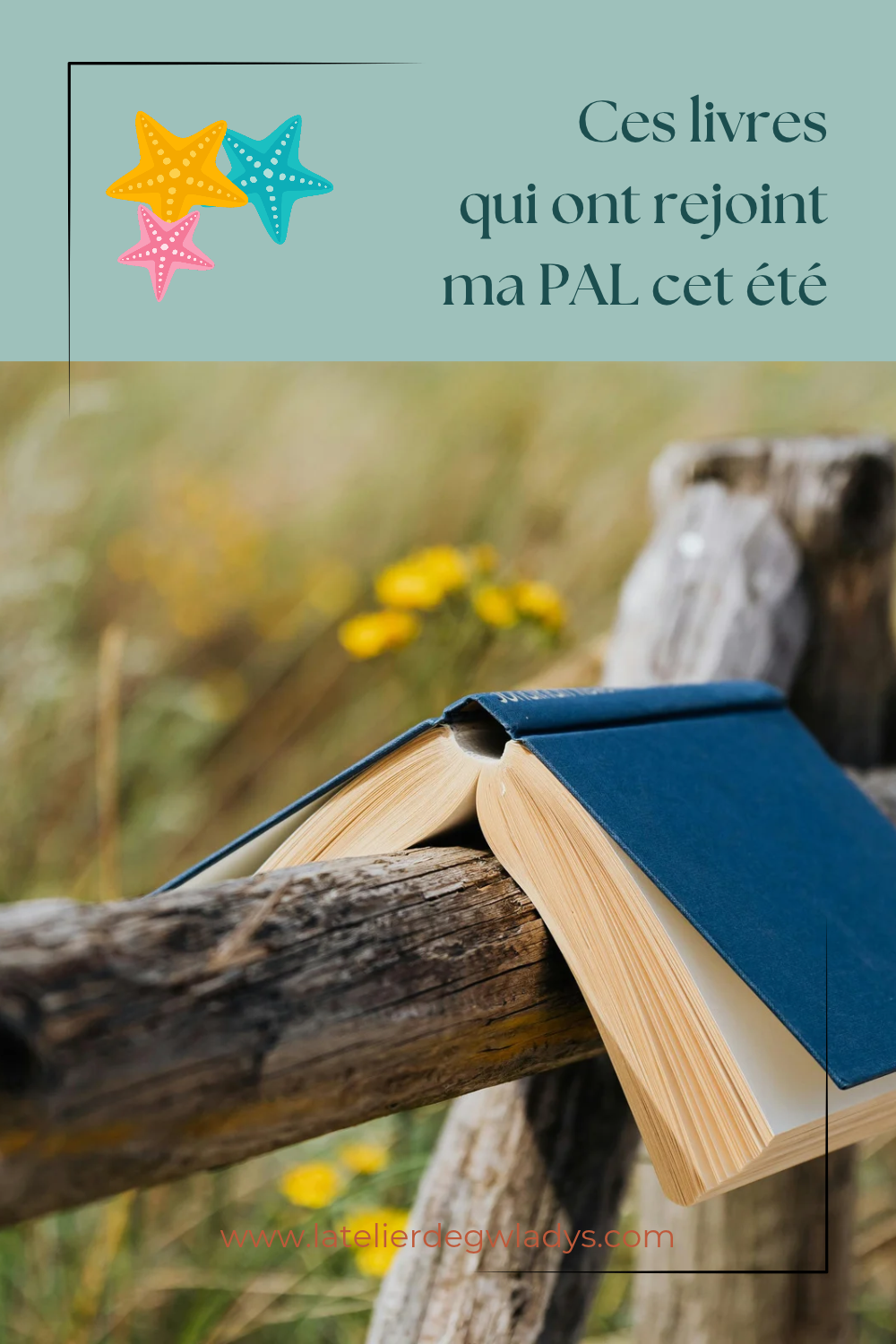 Epingle 2 - Ces livres qui ont rejoint ma pal.png