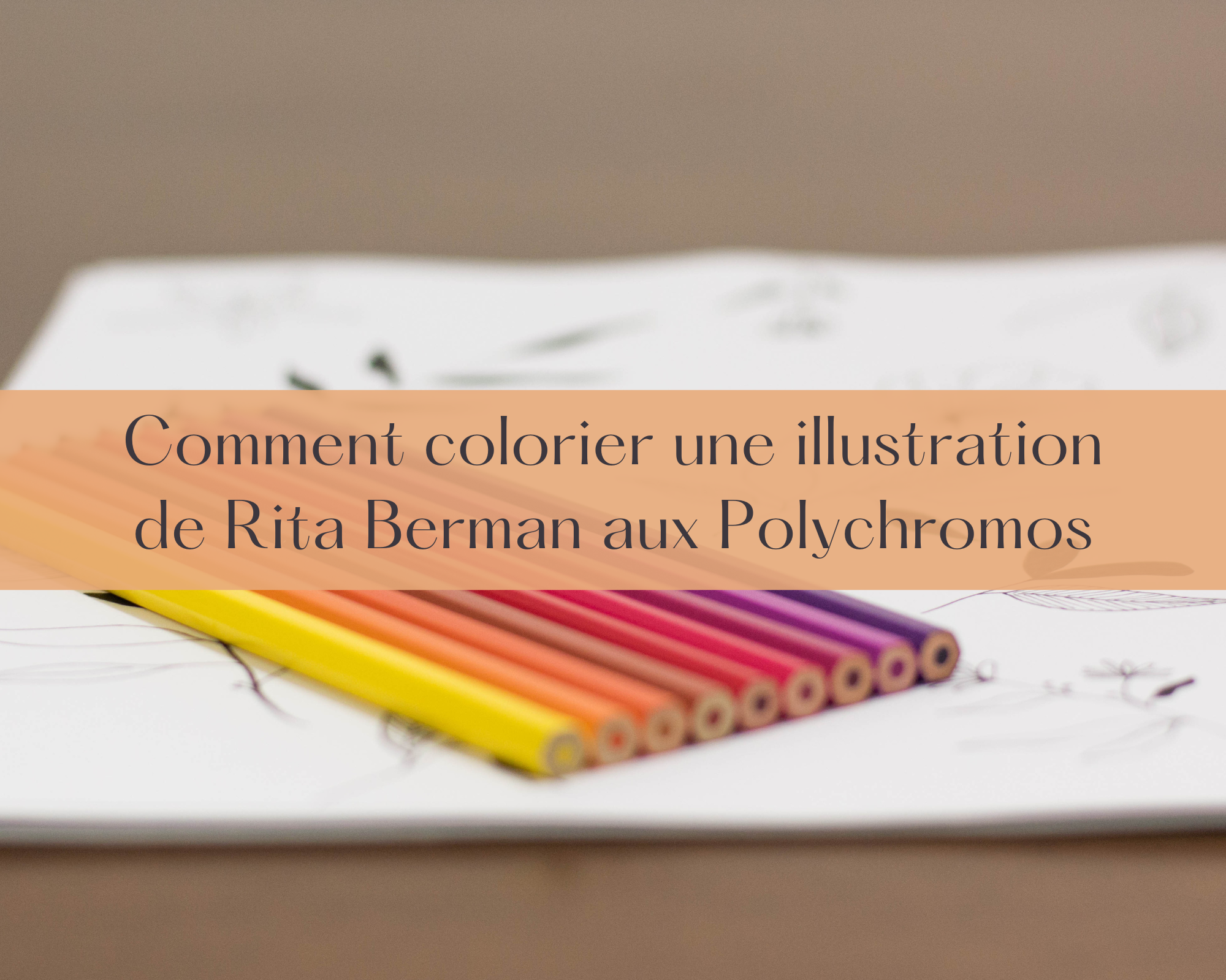 Comment colorier une illustration de Rita Berman aux Polychromos ?