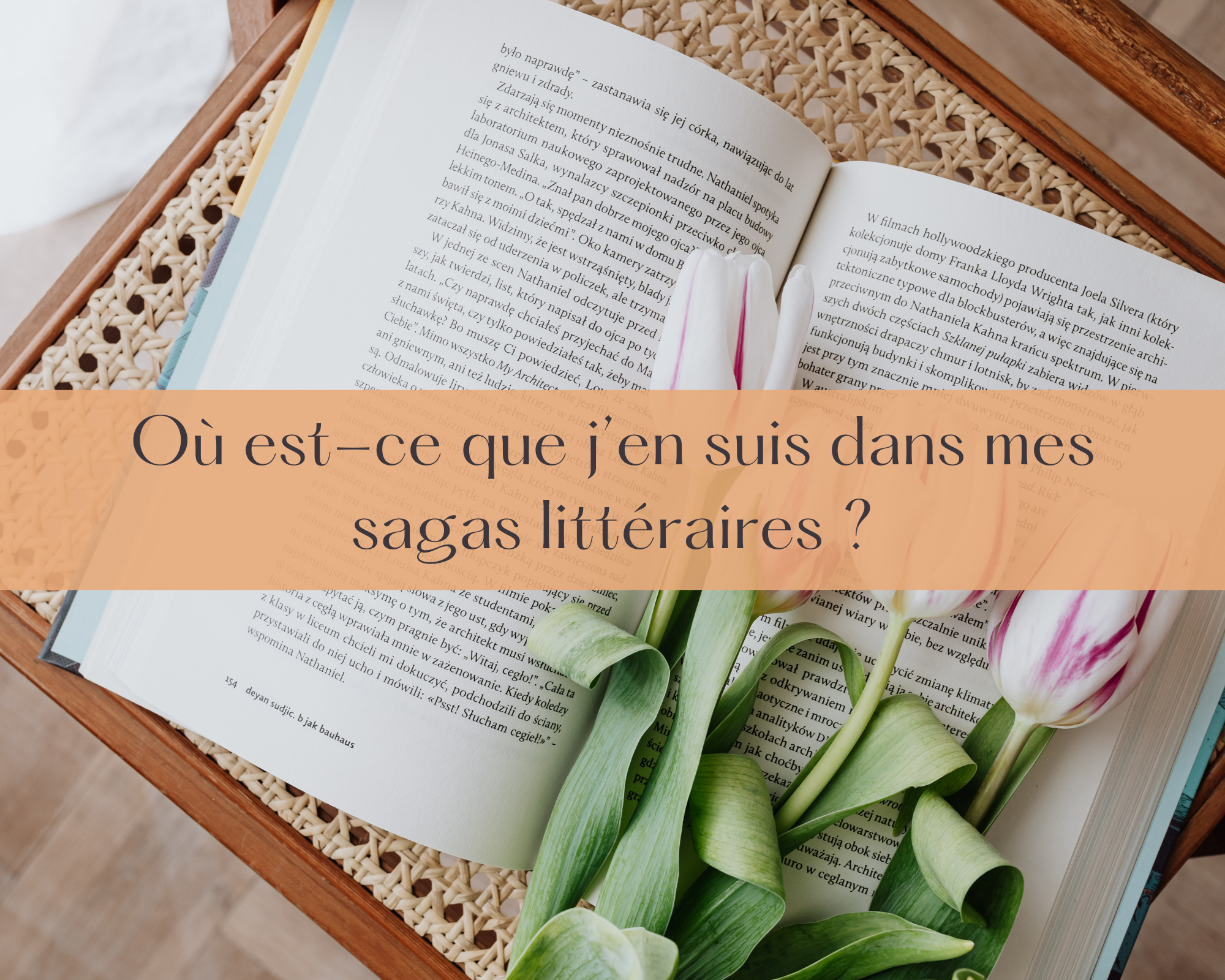 Où est-ce que j'en suis dans mes sagas littéraires