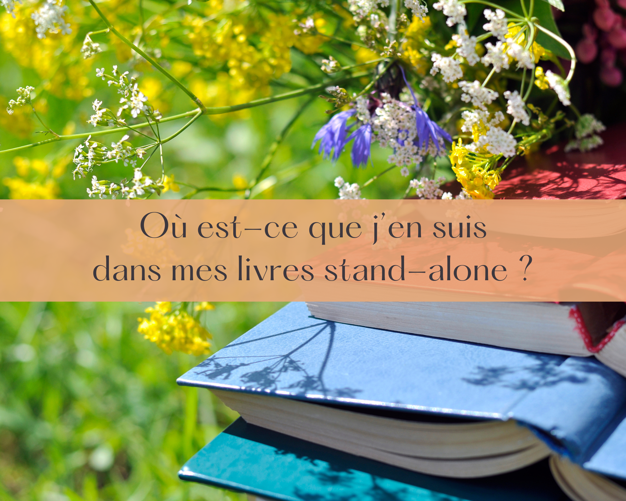 Où est-ce que j’en suis dans mes livres stand-alone ?