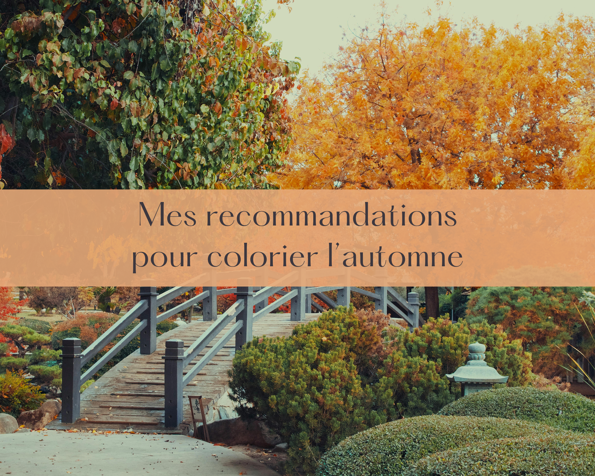 Mes recommandations pour colorier l’automne