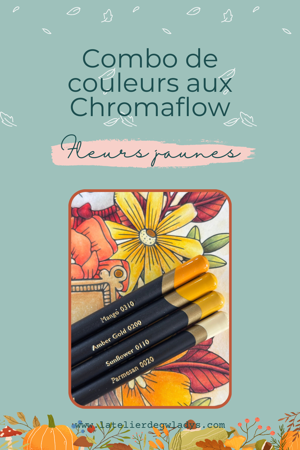 Combo couleurs aux crayons de couleur de la gamme Derwent Chromaflow - Fleur jaune : 0310 - 0200 - 0110 - 0020