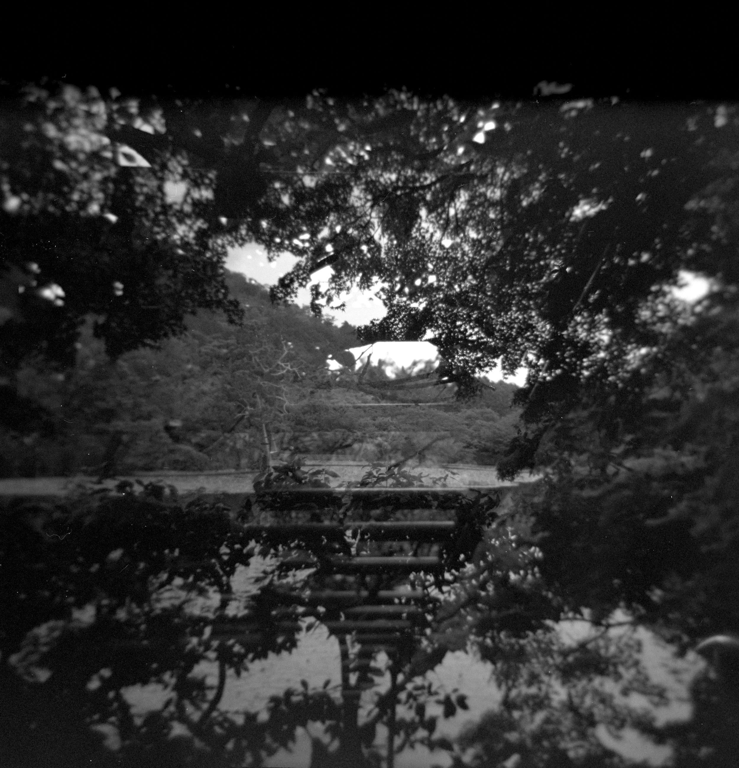 film_6_0002 1.jpg
