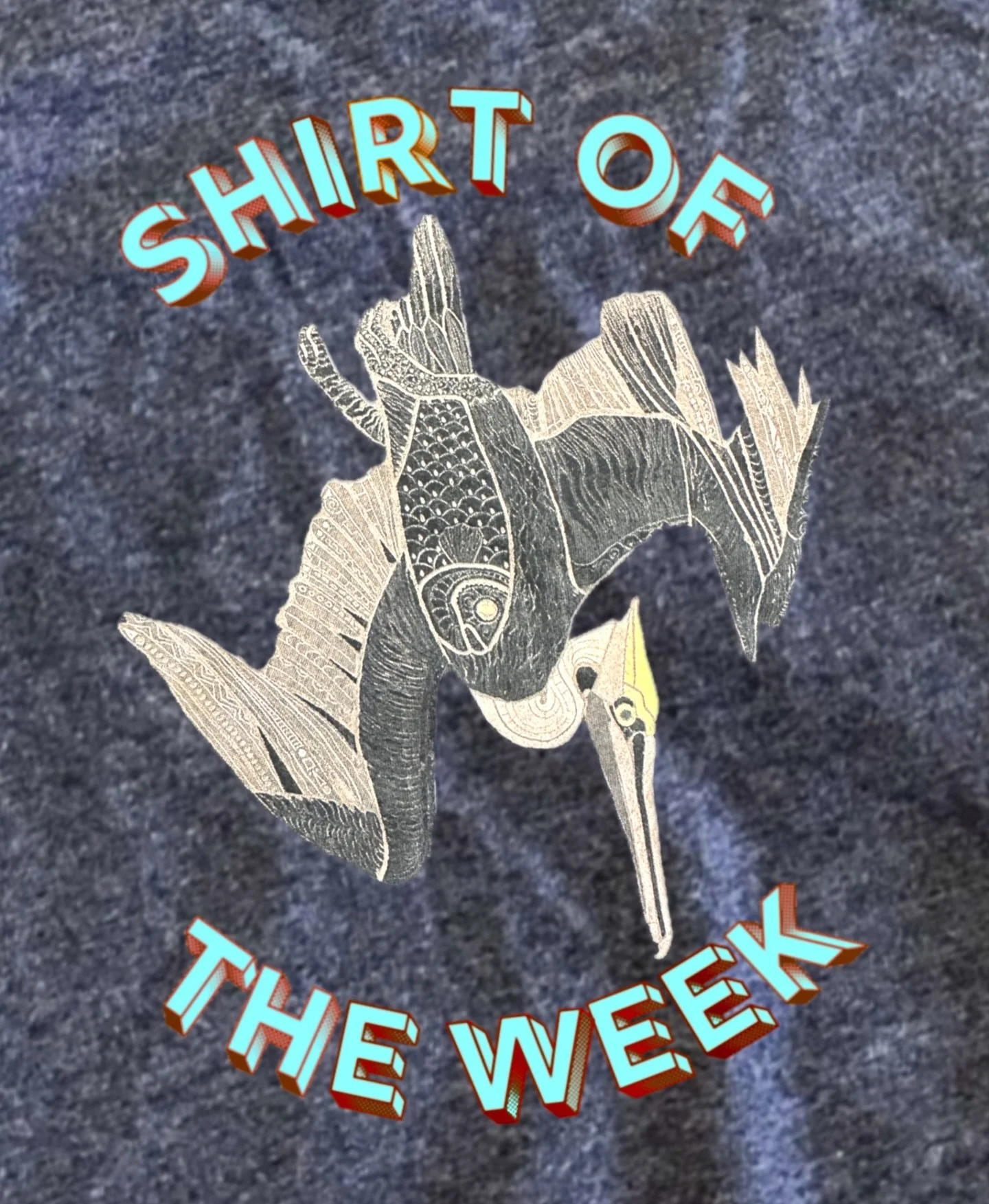 Shirt of the week this week is for local legend Bill Allen and his Bird Nerd series. Comment below what you think 84% signifies in relation to pelicans 🌊 
Snag one of these shirts at @thirtyoddvt soon!