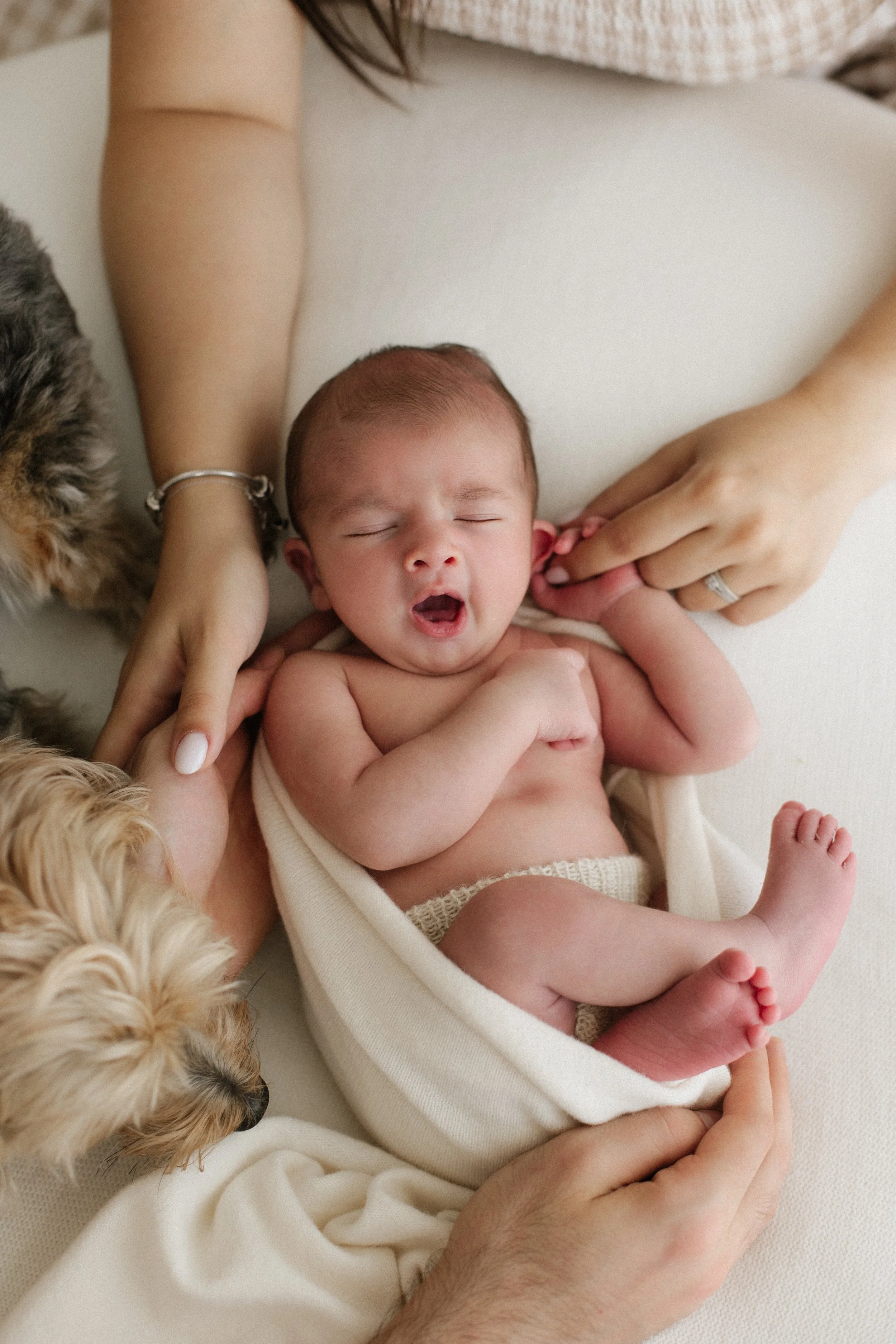 Baby newborn yawning during photoshoot