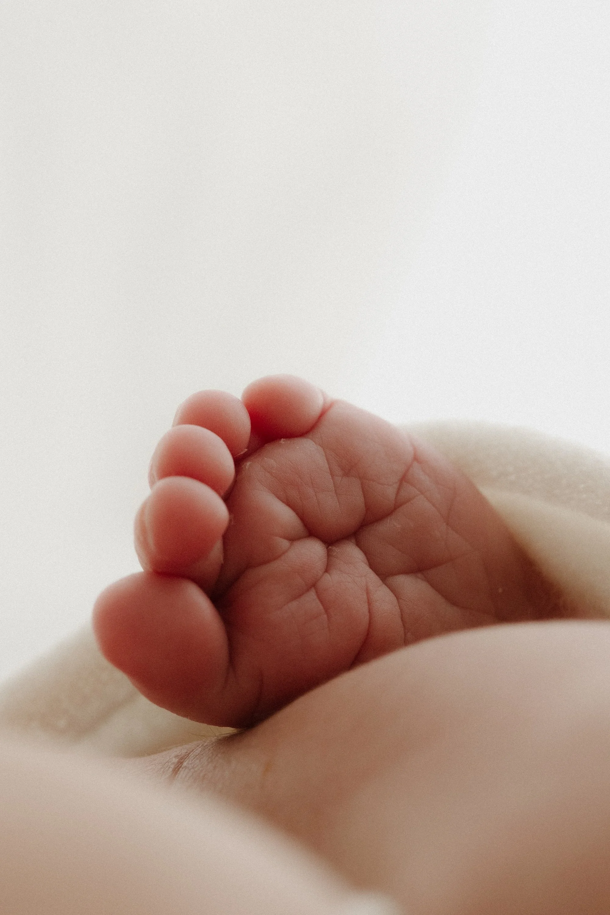 Baby newborn toes