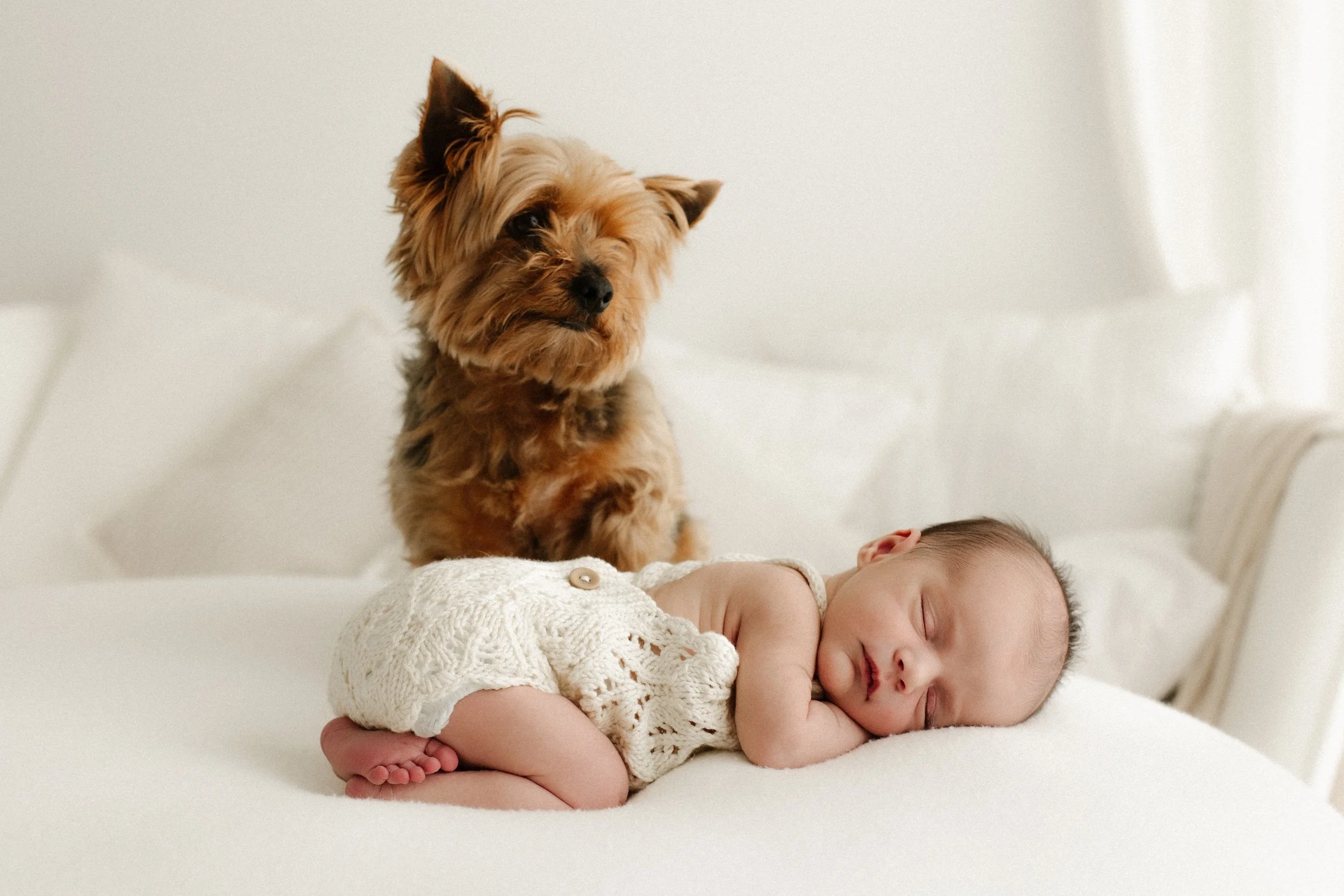 Baby newborn with pet dog during photoshoot in a timeless white setting