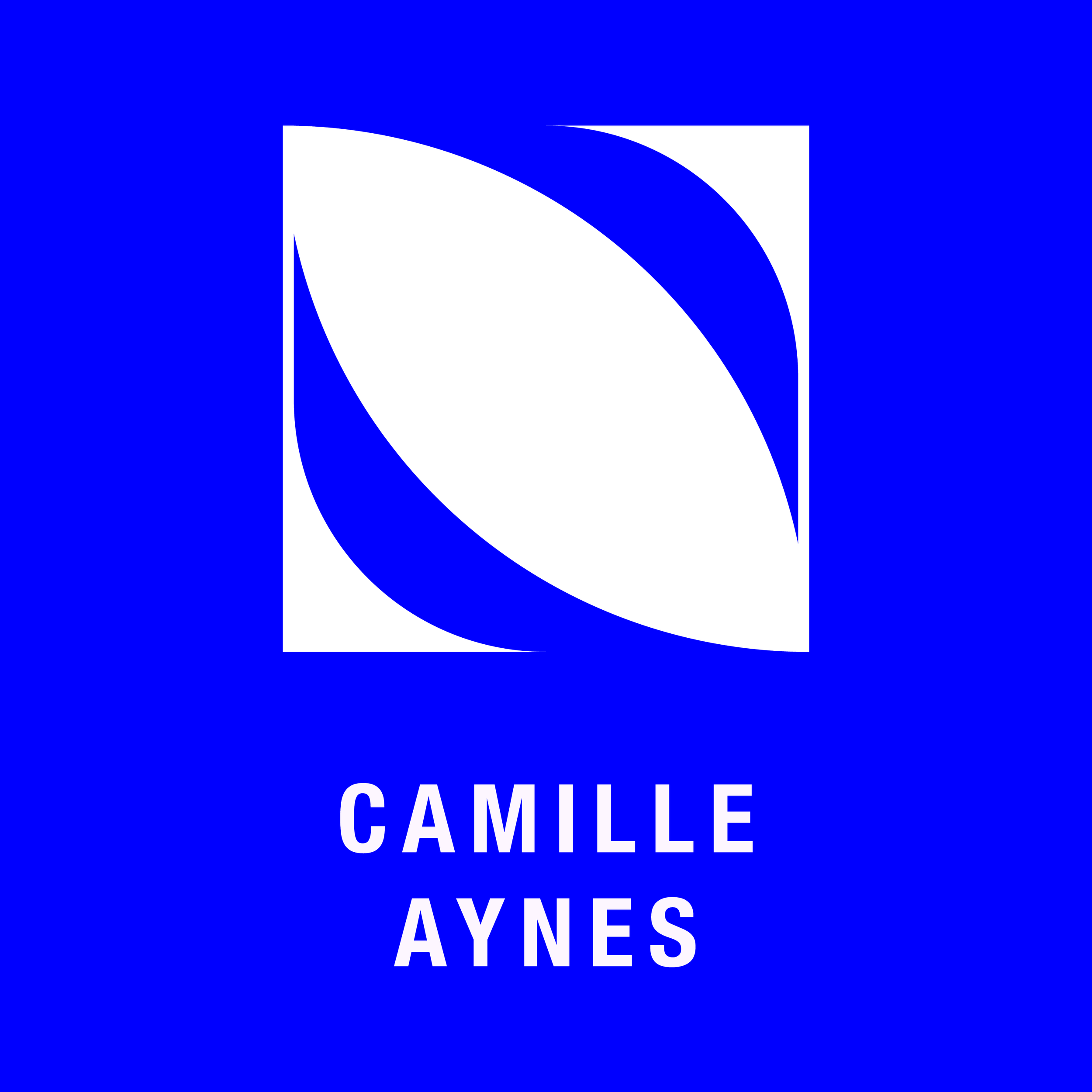 Ep.11 : Camille Aynès : La citoyenneté vue du droit pénal