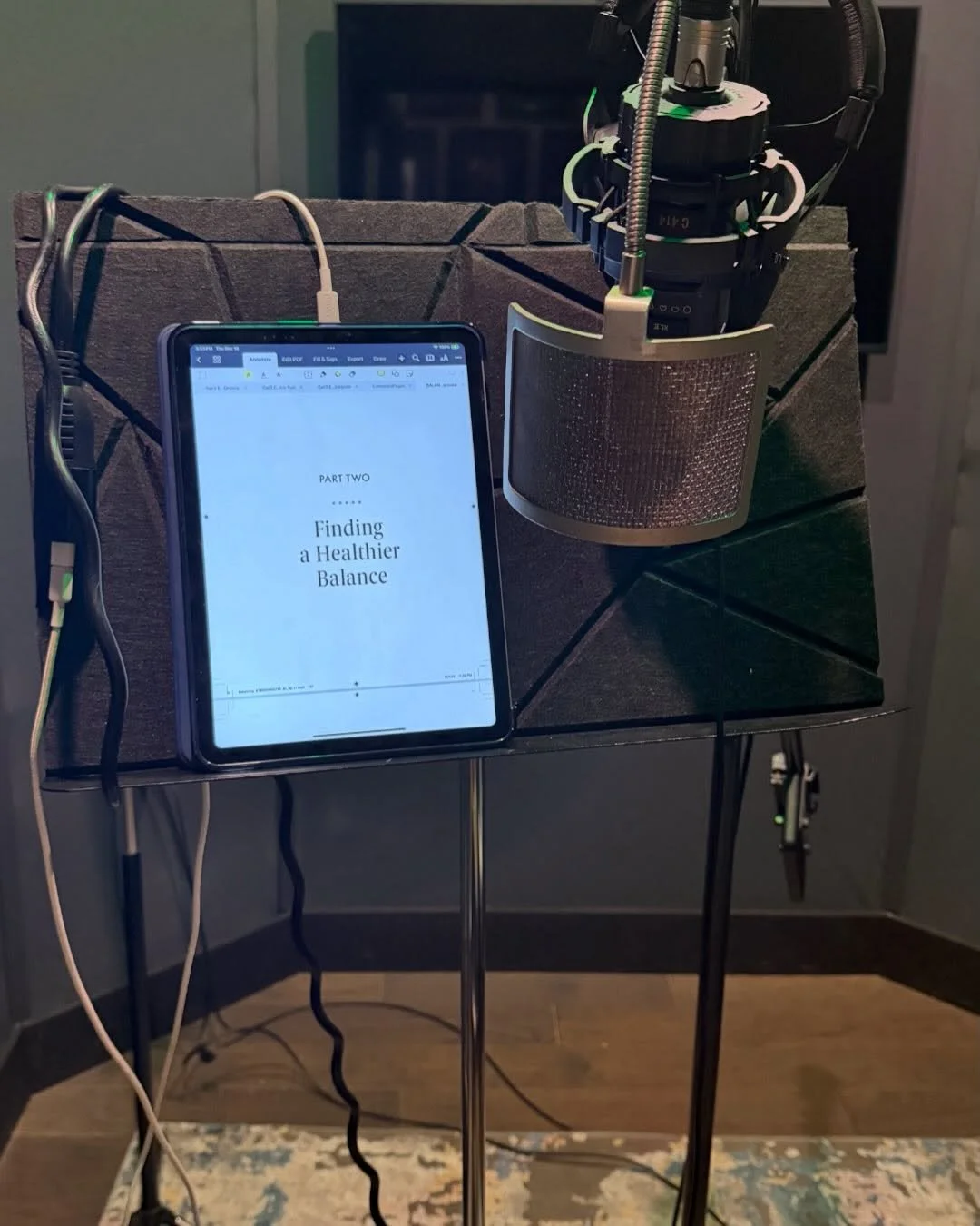 Ending the work year with the audio recording of The Balancing Act. This is my 7th book and the 6th I've recorded. 

Depending on the book, I love to hear from the author. Therefore, I try to narrate my own.

My hand lotion, lavender roller ball, lac