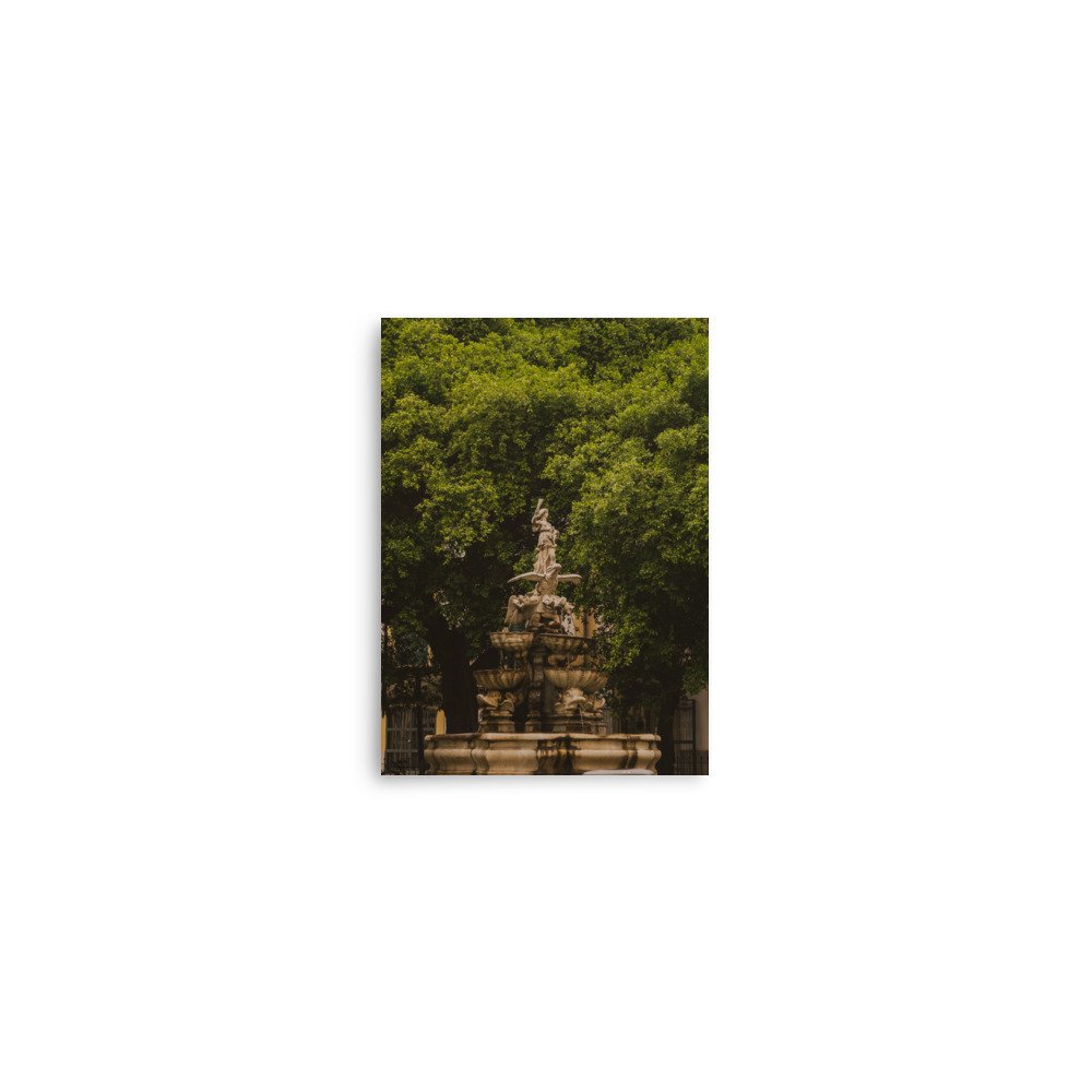 enhanced-matte-paper-poster-(in)-5x7-front-649af926ea7b0.jpg