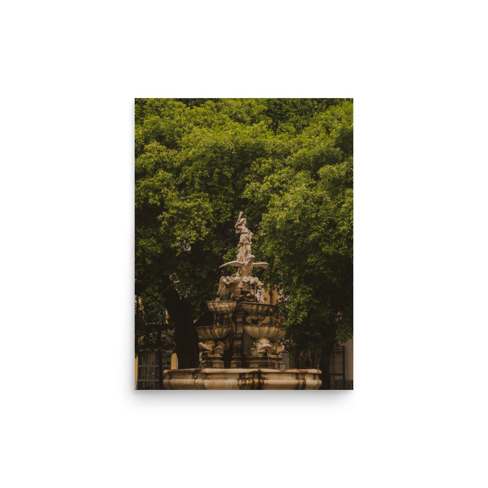enhanced-matte-paper-poster-(in)-12x16-front-649af926eb48d.jpg