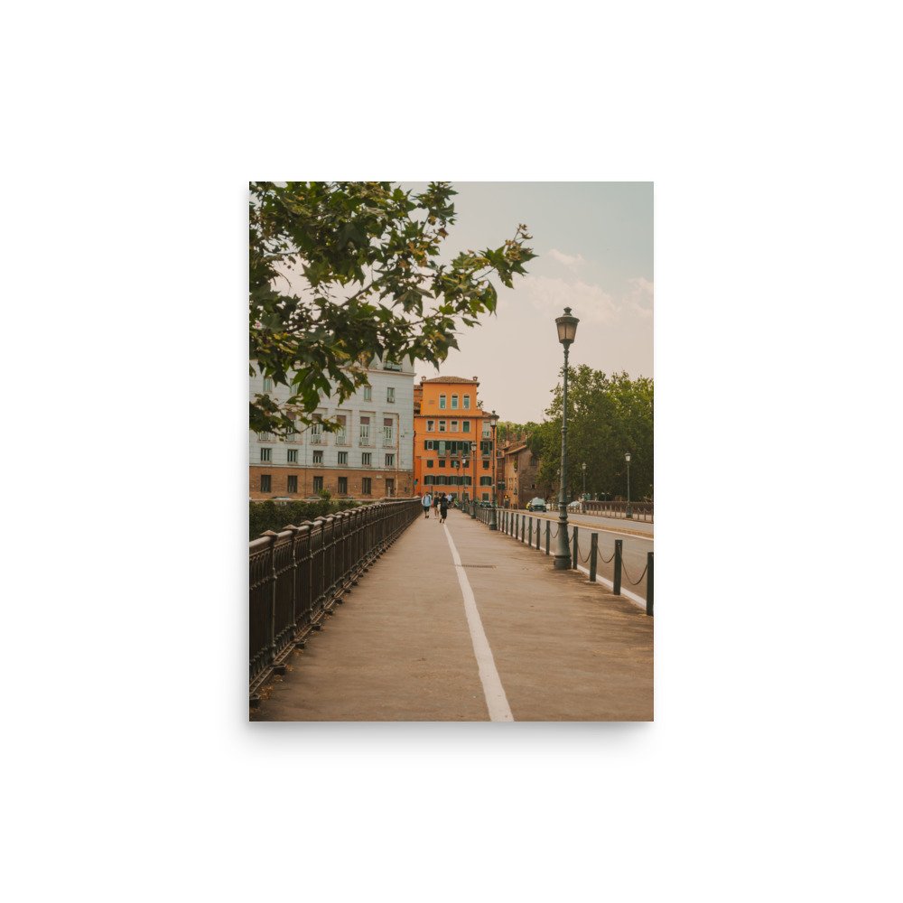 enhanced-matte-paper-poster-(in)-12x16-front-649b08e63a21a.jpg