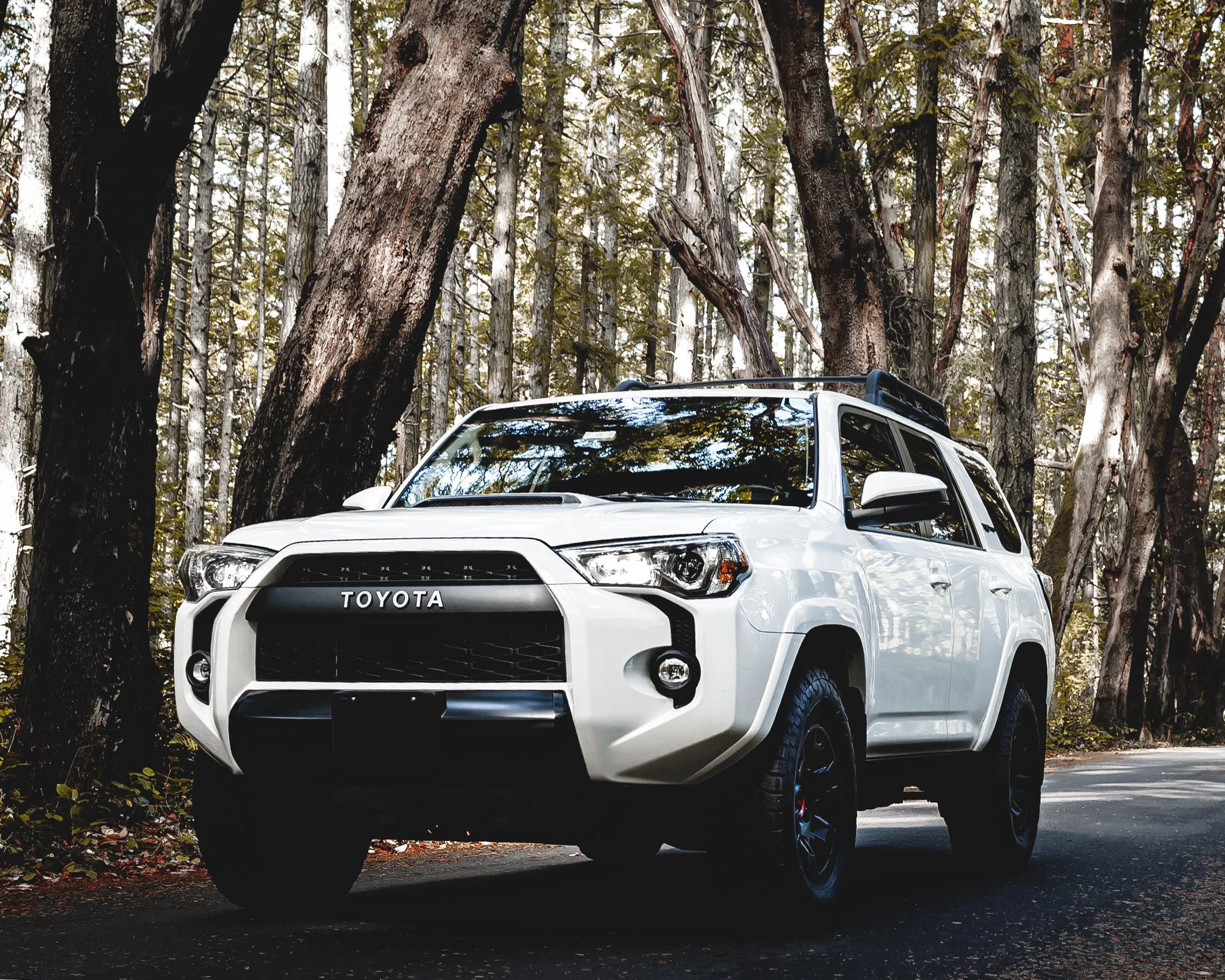 4runner 8x10.jpg