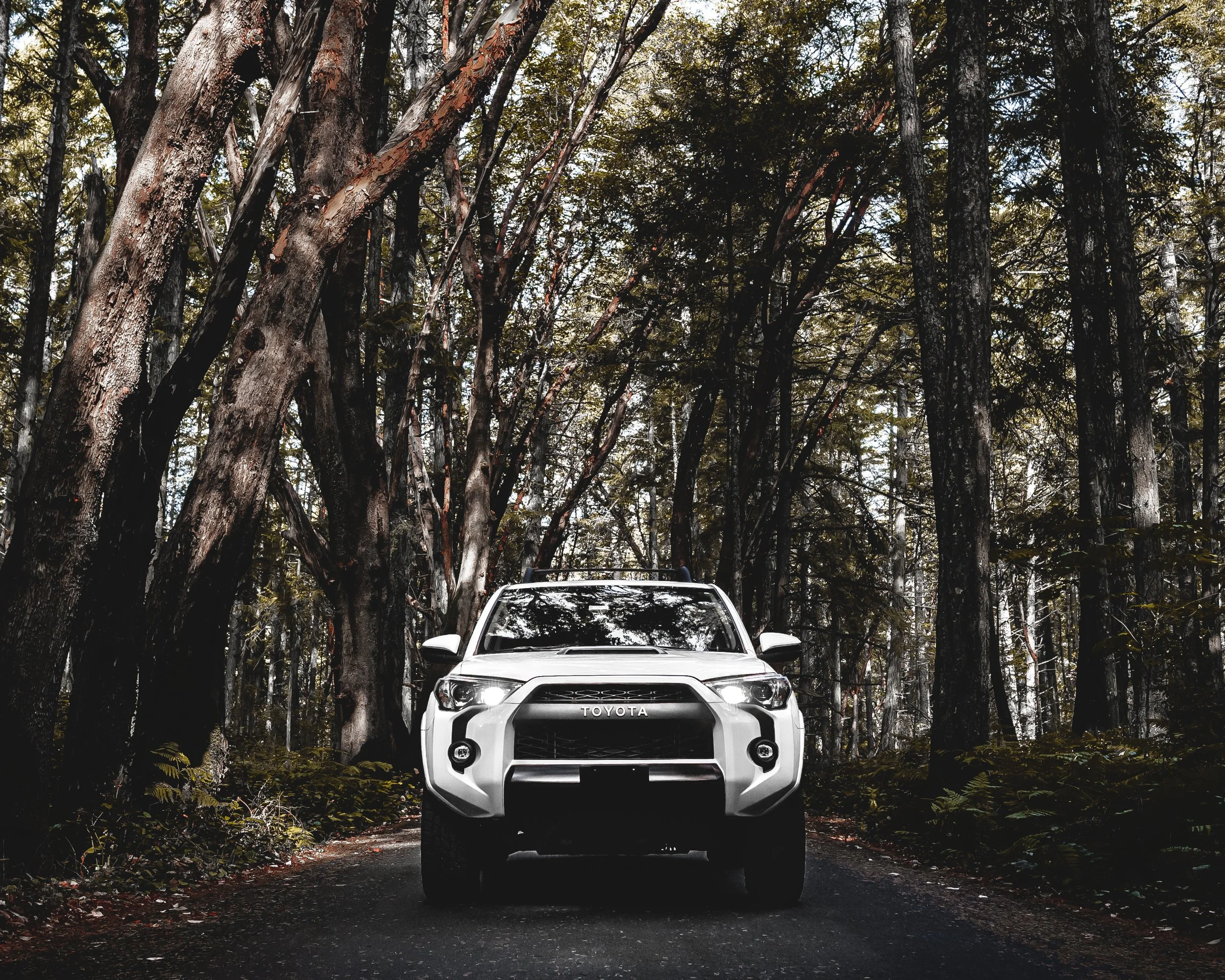 4runner 3 8X10.jpg
