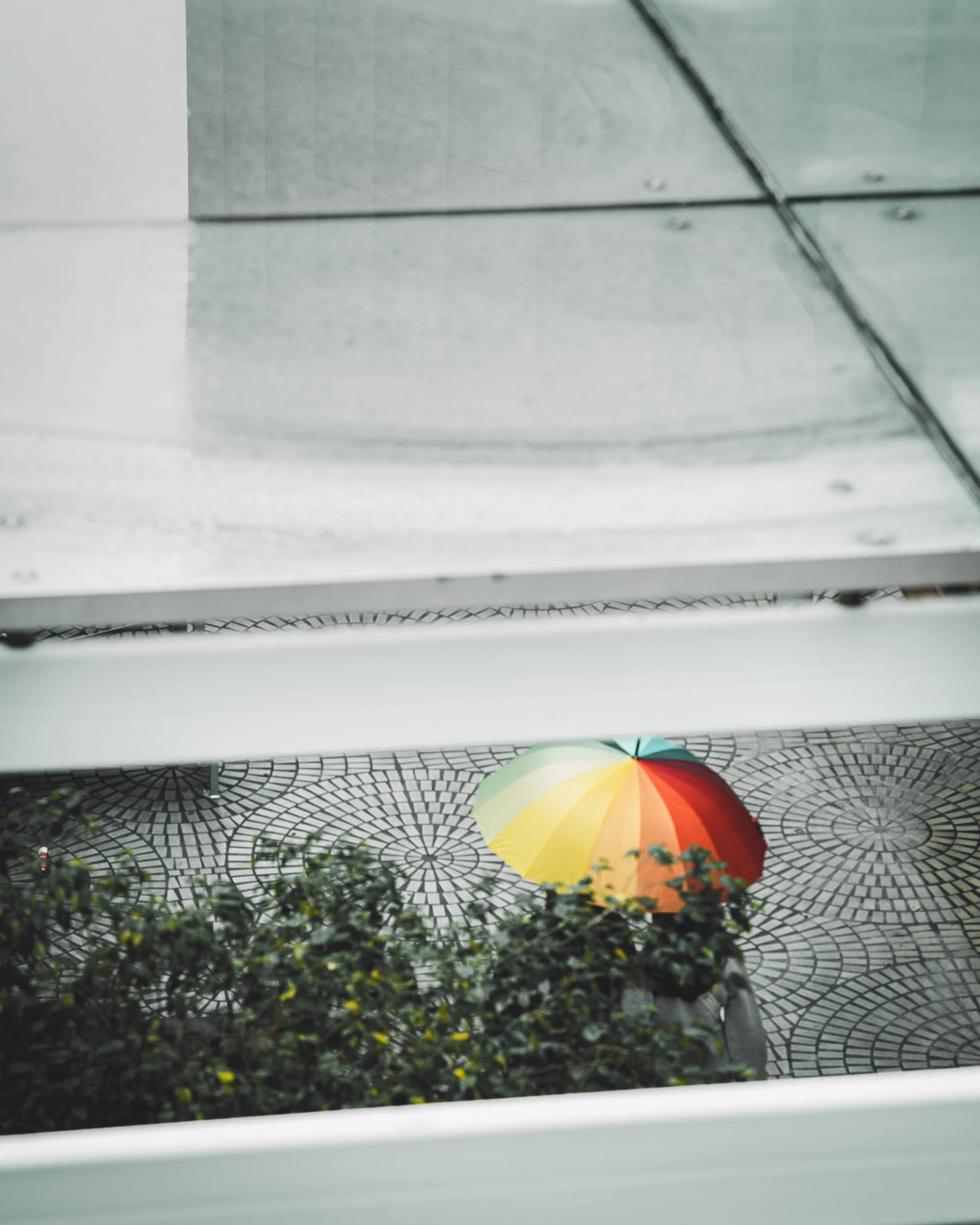 Colorful umbrella on patterned pavement viewed from above, partially obscured by greenery.