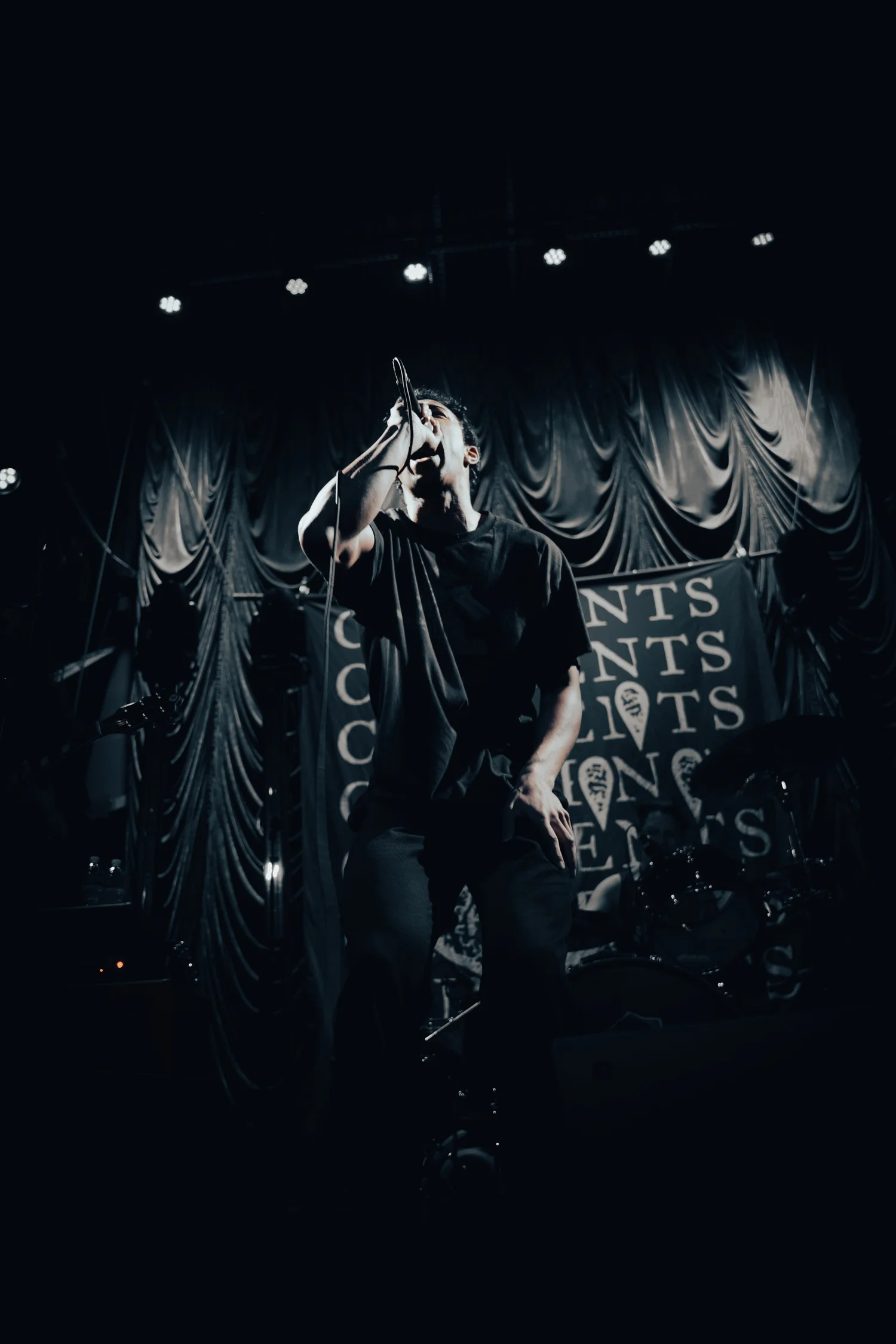Live music photography 47