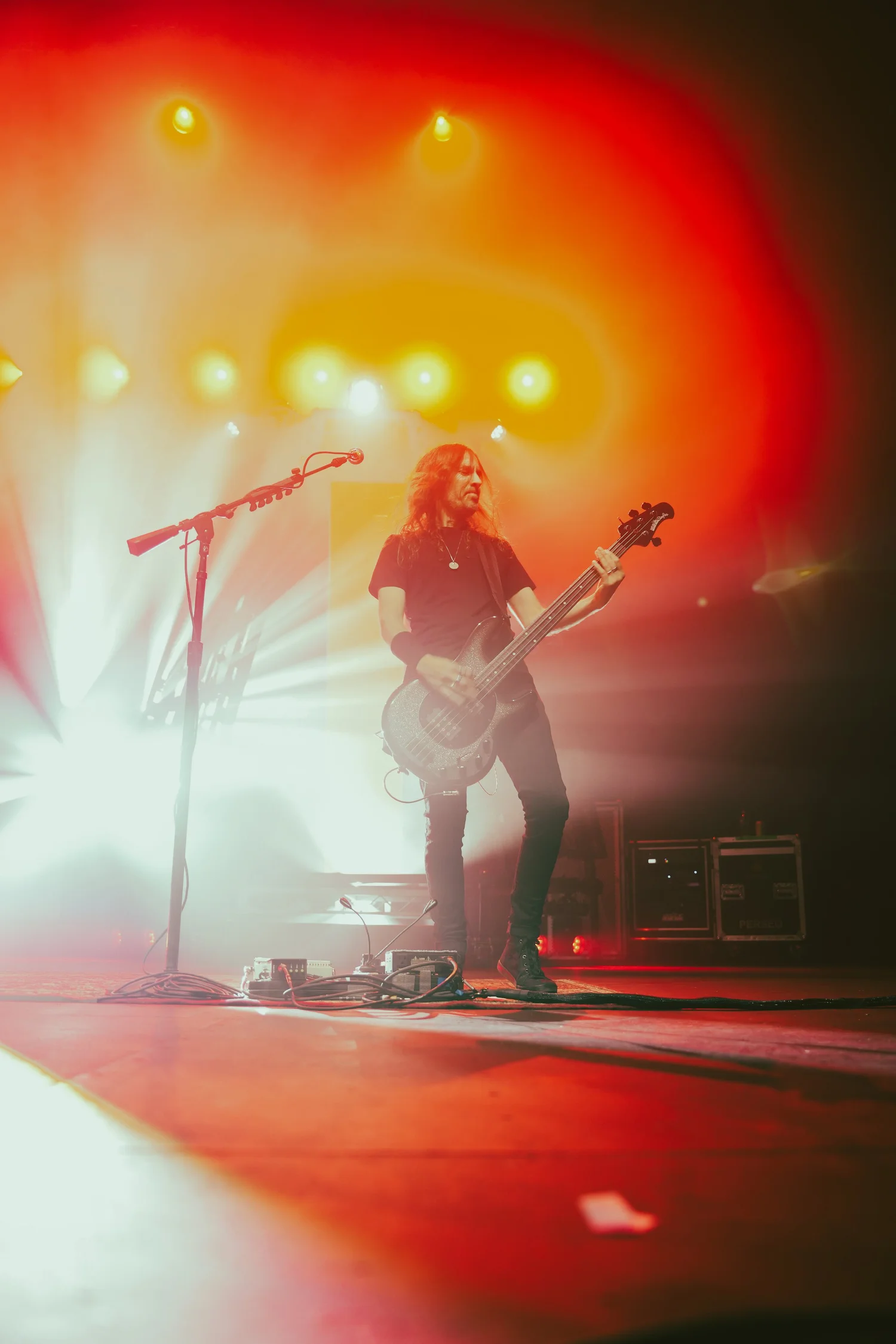 Live music photography 24