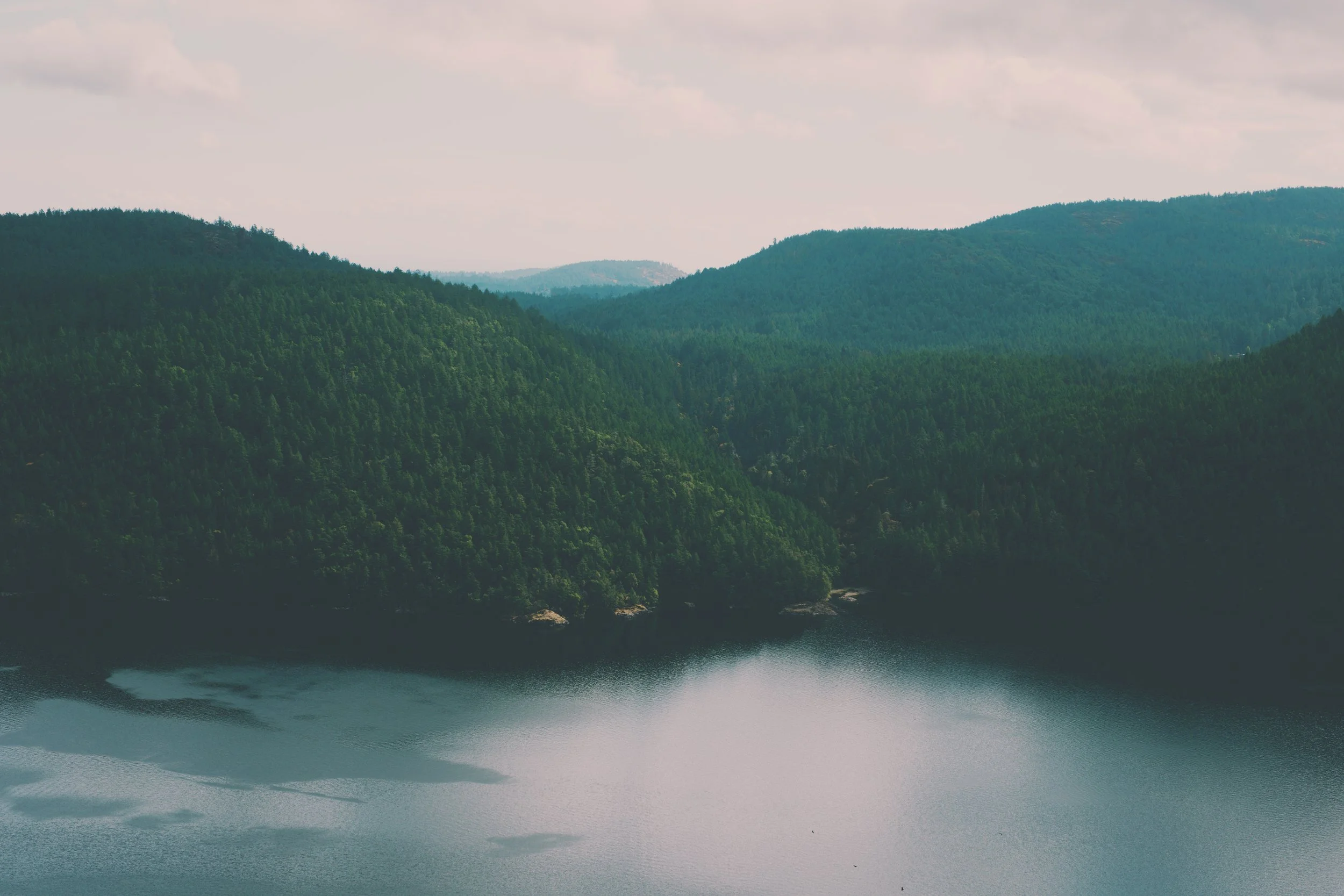 Photographs that Represent You