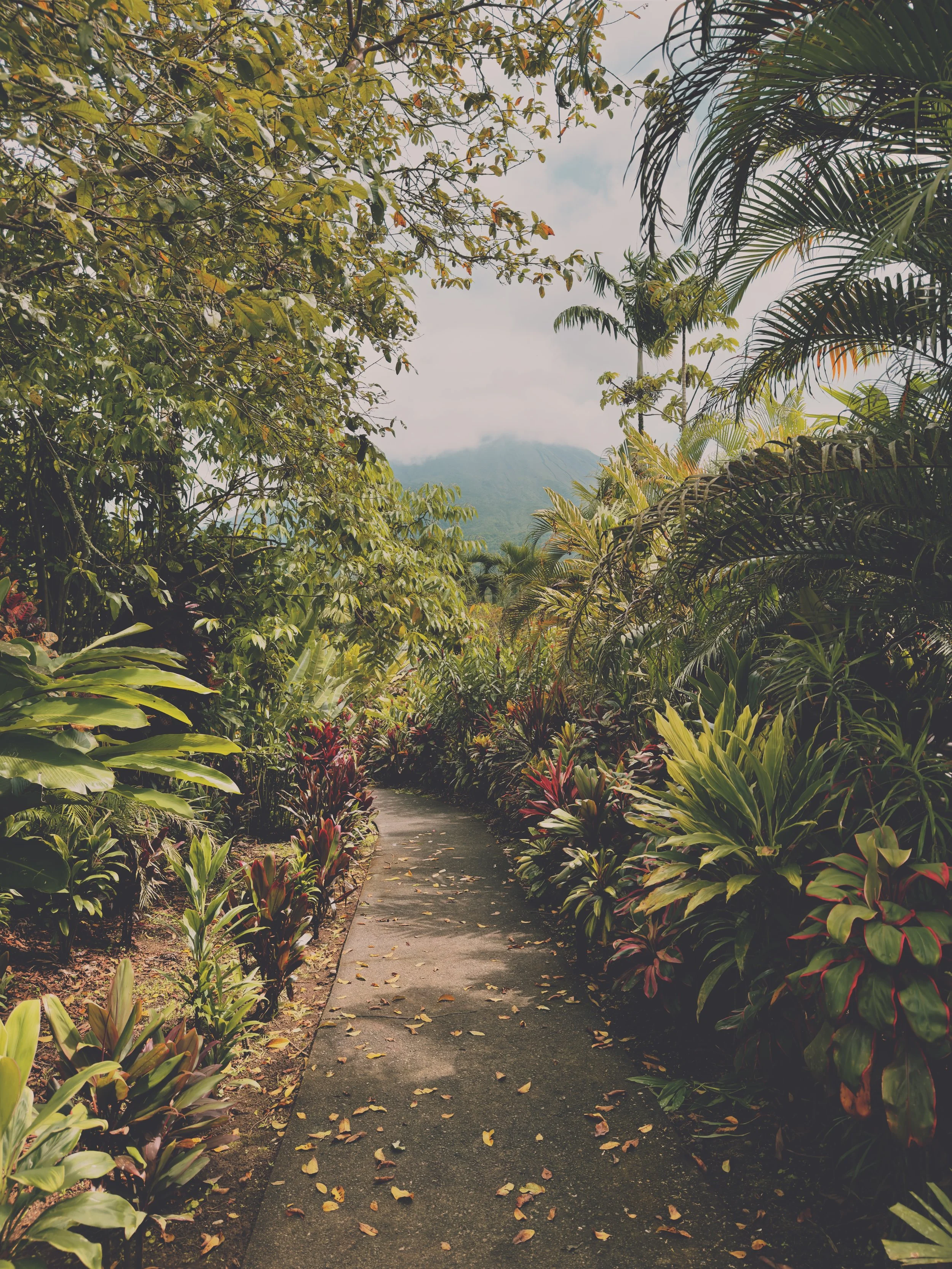 For the Love of Costa Rica