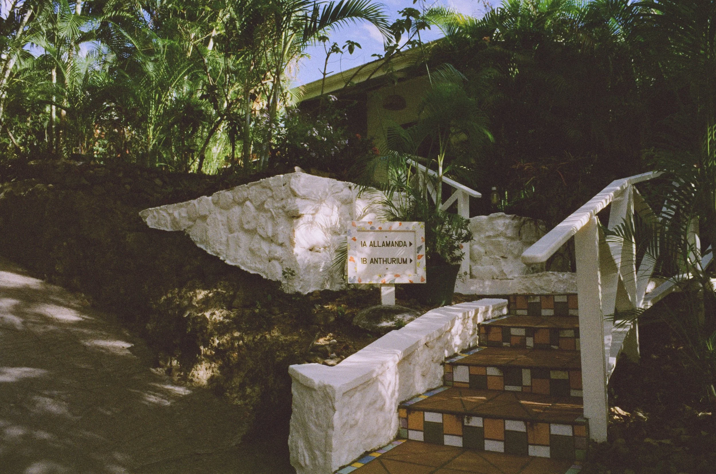 For the Love of St Lucia