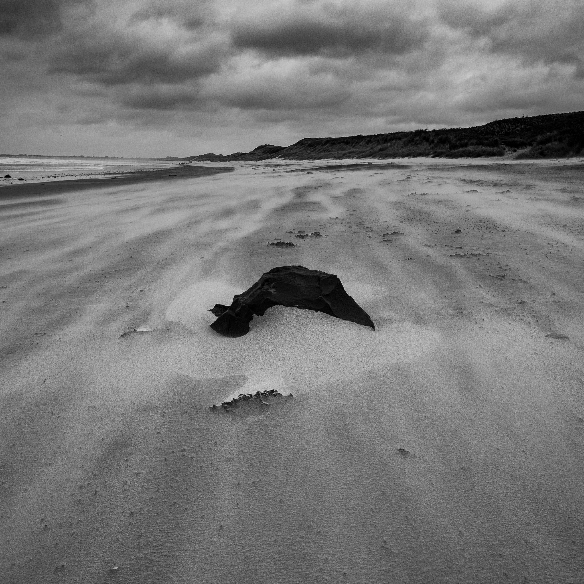 29082020 - NORTHUMBERLAND - BeachSand5BNW.jpg