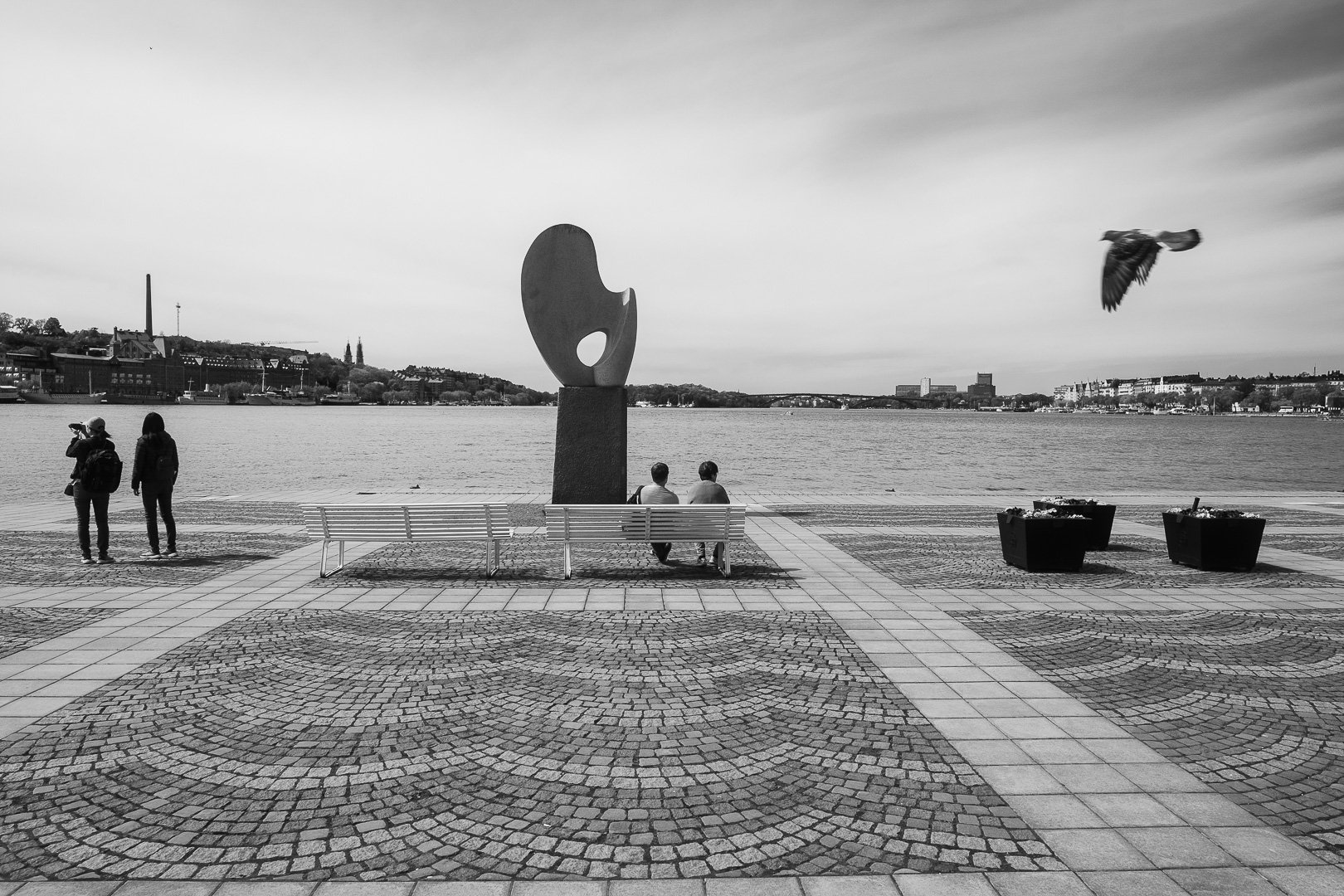 DSCF8583.jpg
