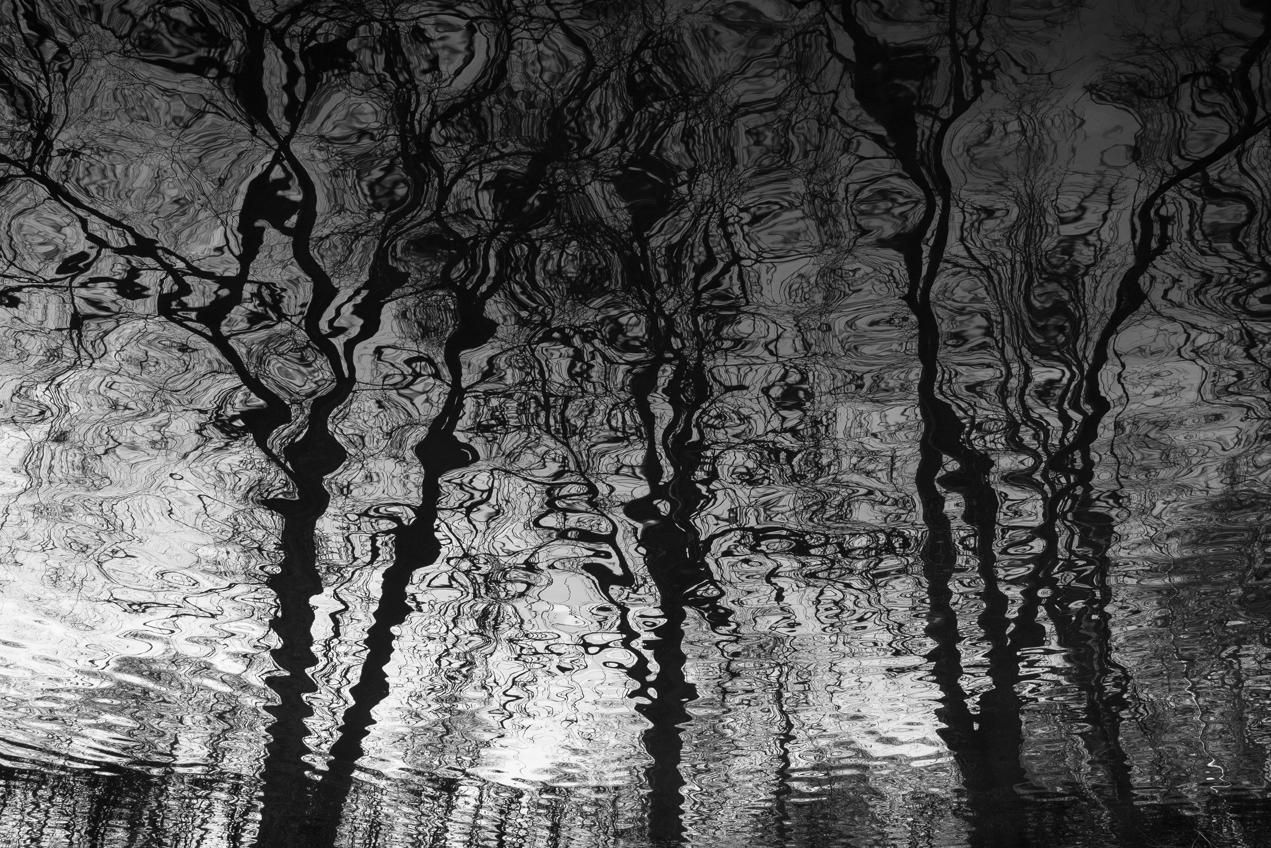 Head+State+-+BNW+-+APOY2023.jpg