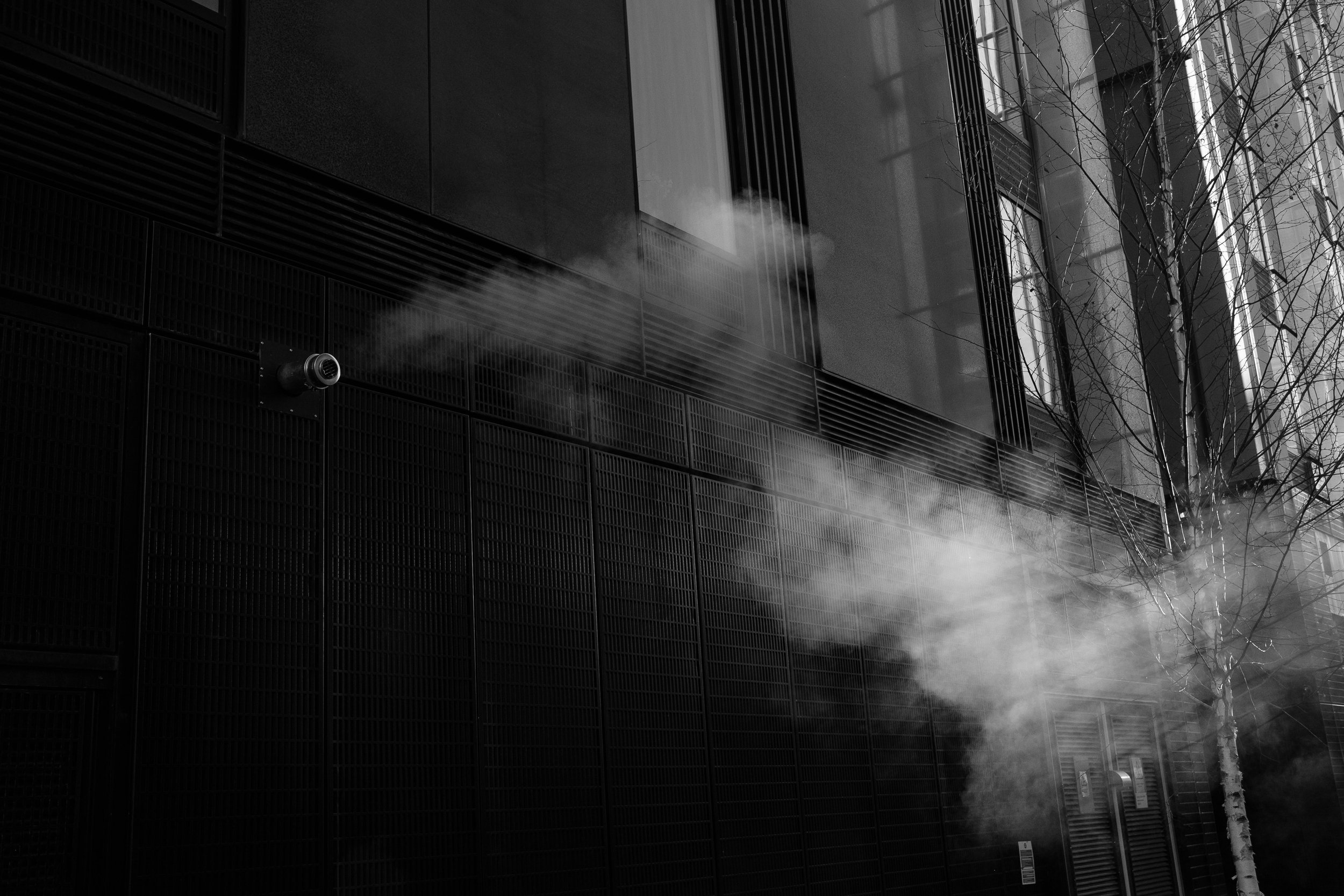 Drifting+-+BNW+-+APOY2023.jpg