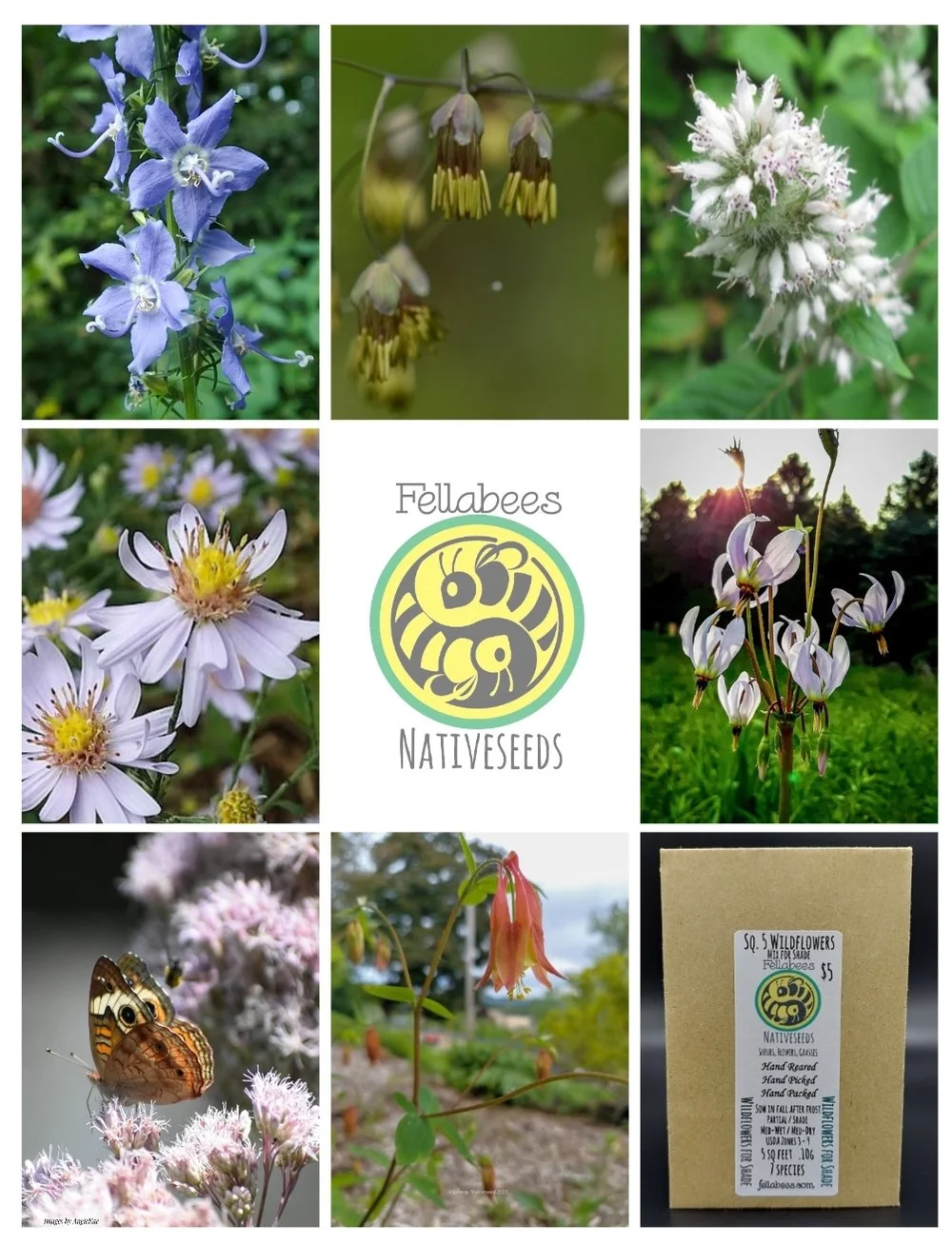 native english / native Business　CD5枚 $5 Native Wildflower Shade Packet — Fellabees & Nativeseeds