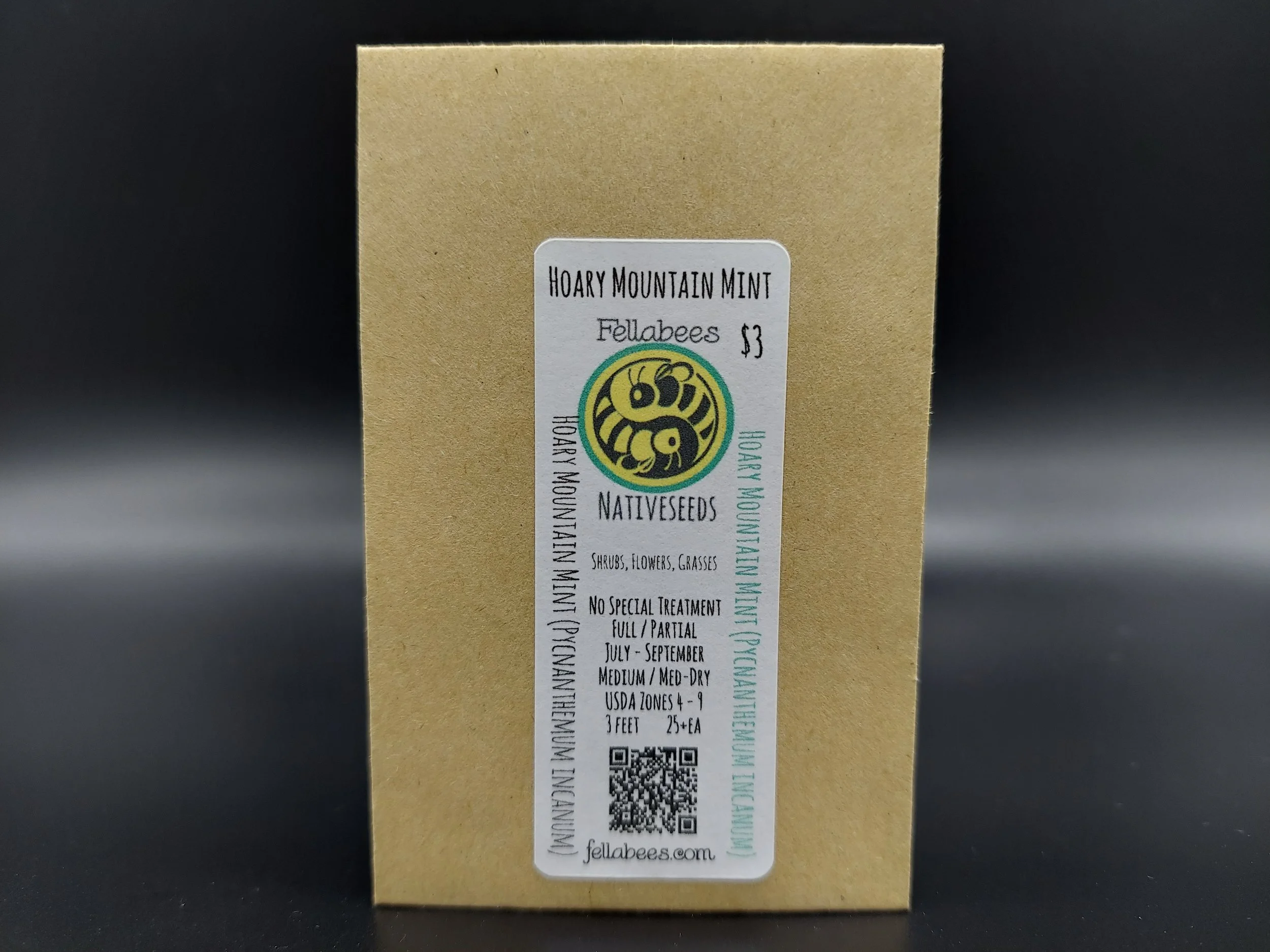 Hoary Mountain Mint (Pycnanthemum incanum)