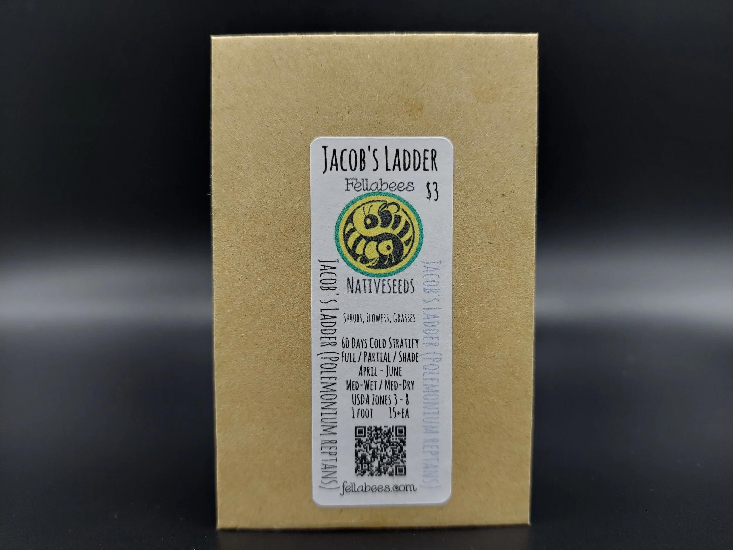 Jacob's Ladder (Polemonium reptans)