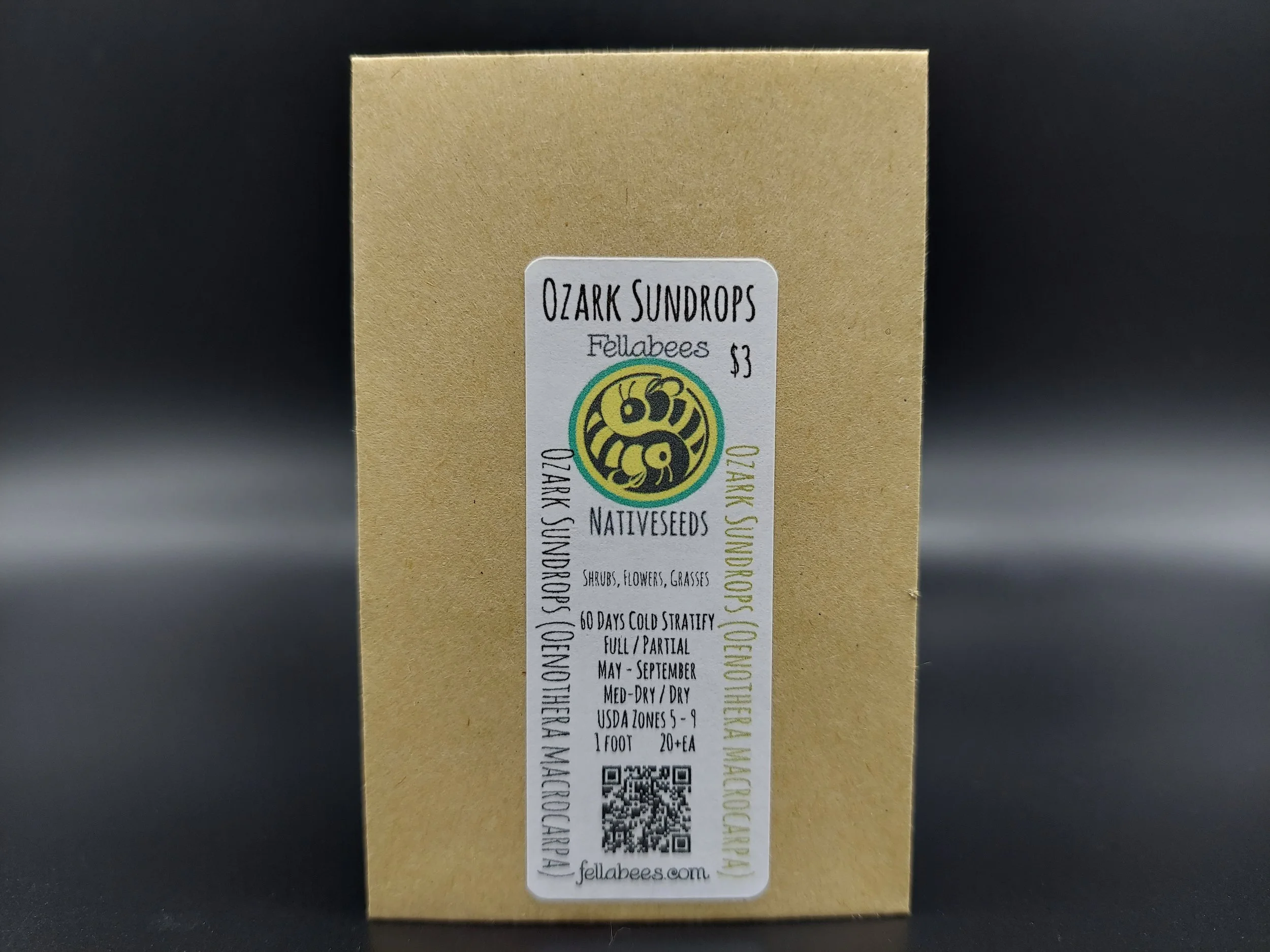 Ozark Sundrops (Oenothera macrocarpa)