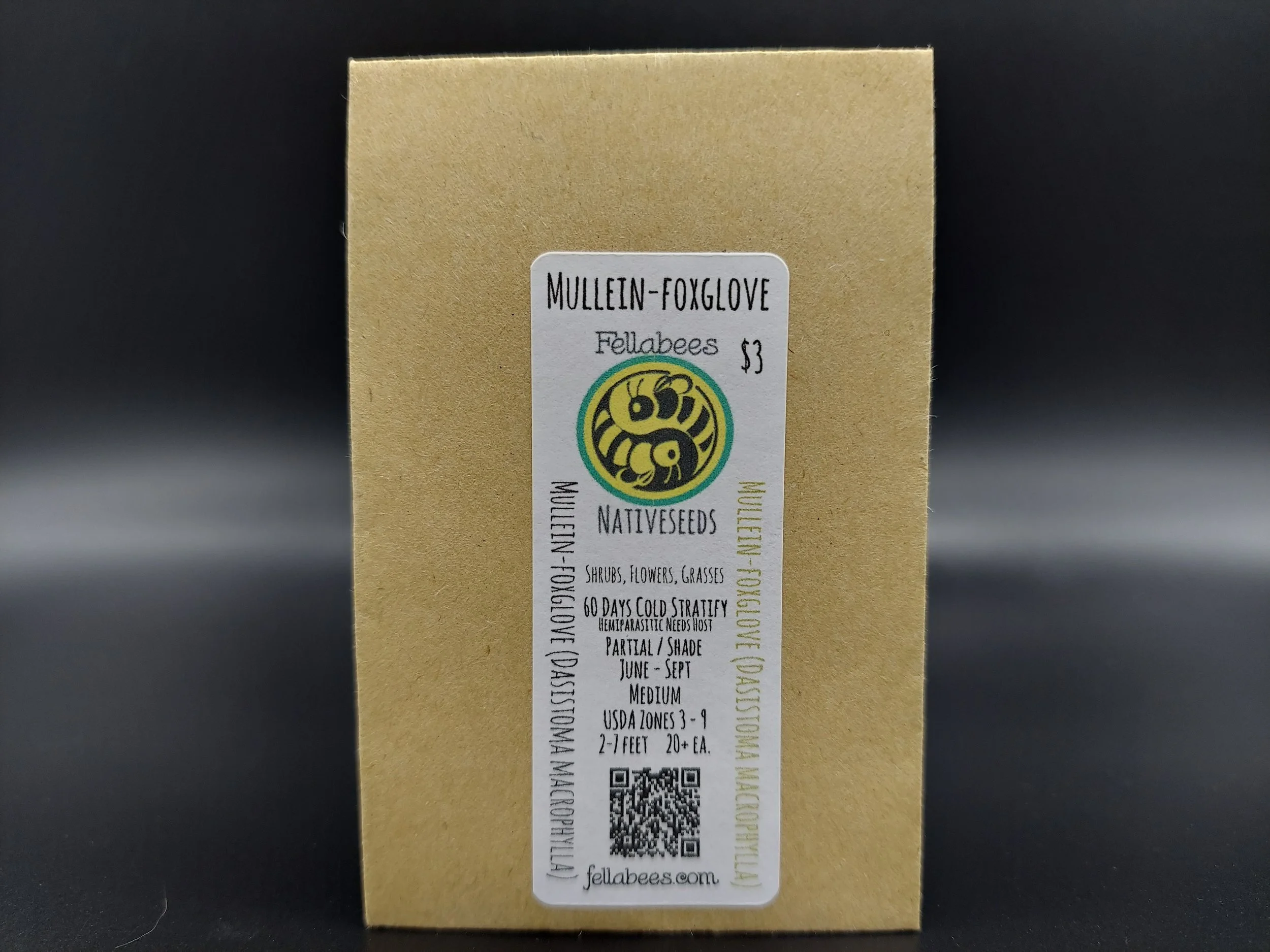 Mullein-foxglove (Dasistoma macrophylla)