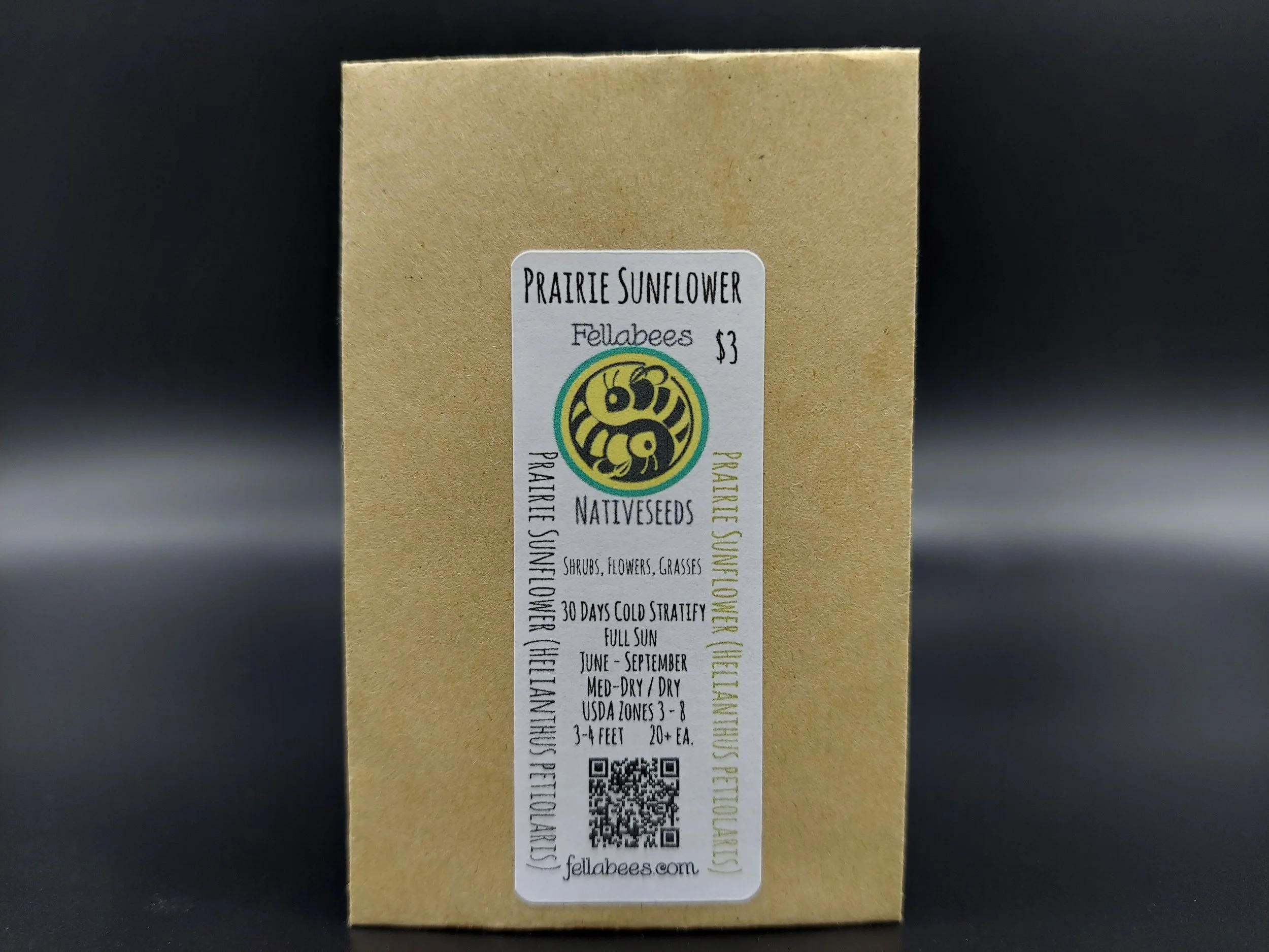 Prairie Sunflower (Helianthus petiolaris)