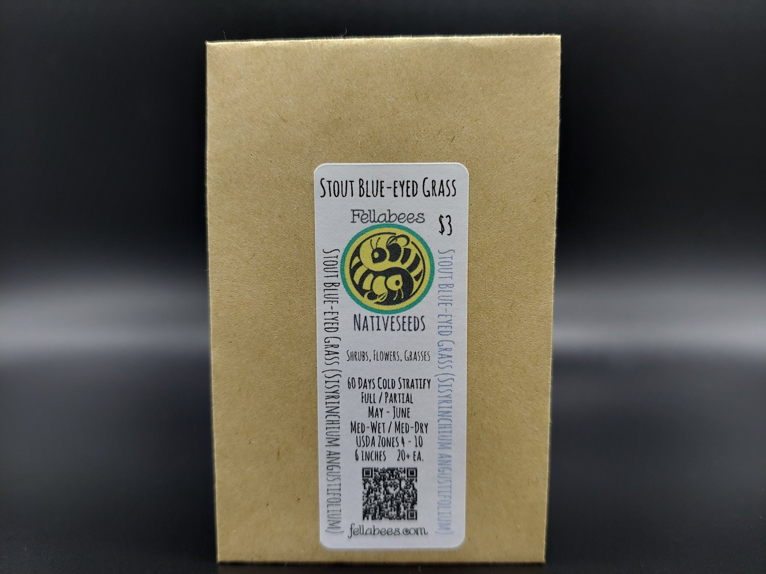 Stout Blue-eyed Grass (Sisyrinchium angustifolium)