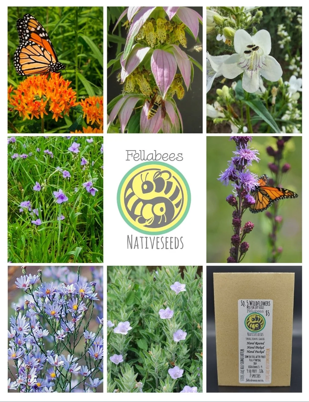 5 Sq. Wildflowers Mix for Dry Soils