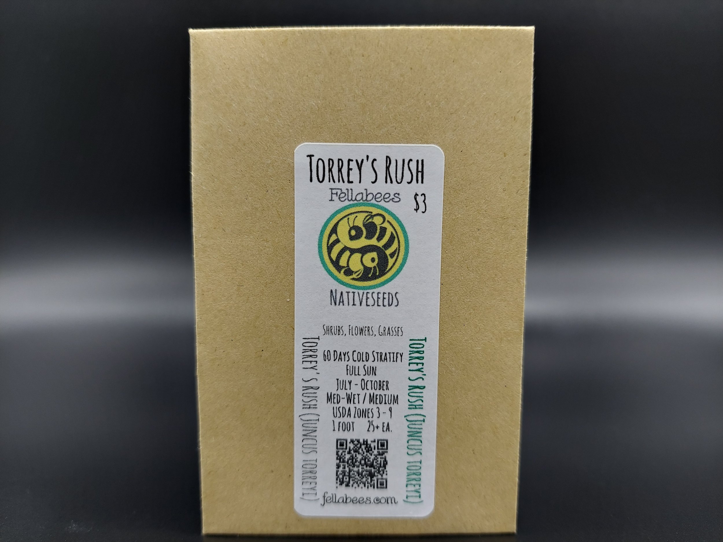 Torrey's Rush (Juncus torreyi)