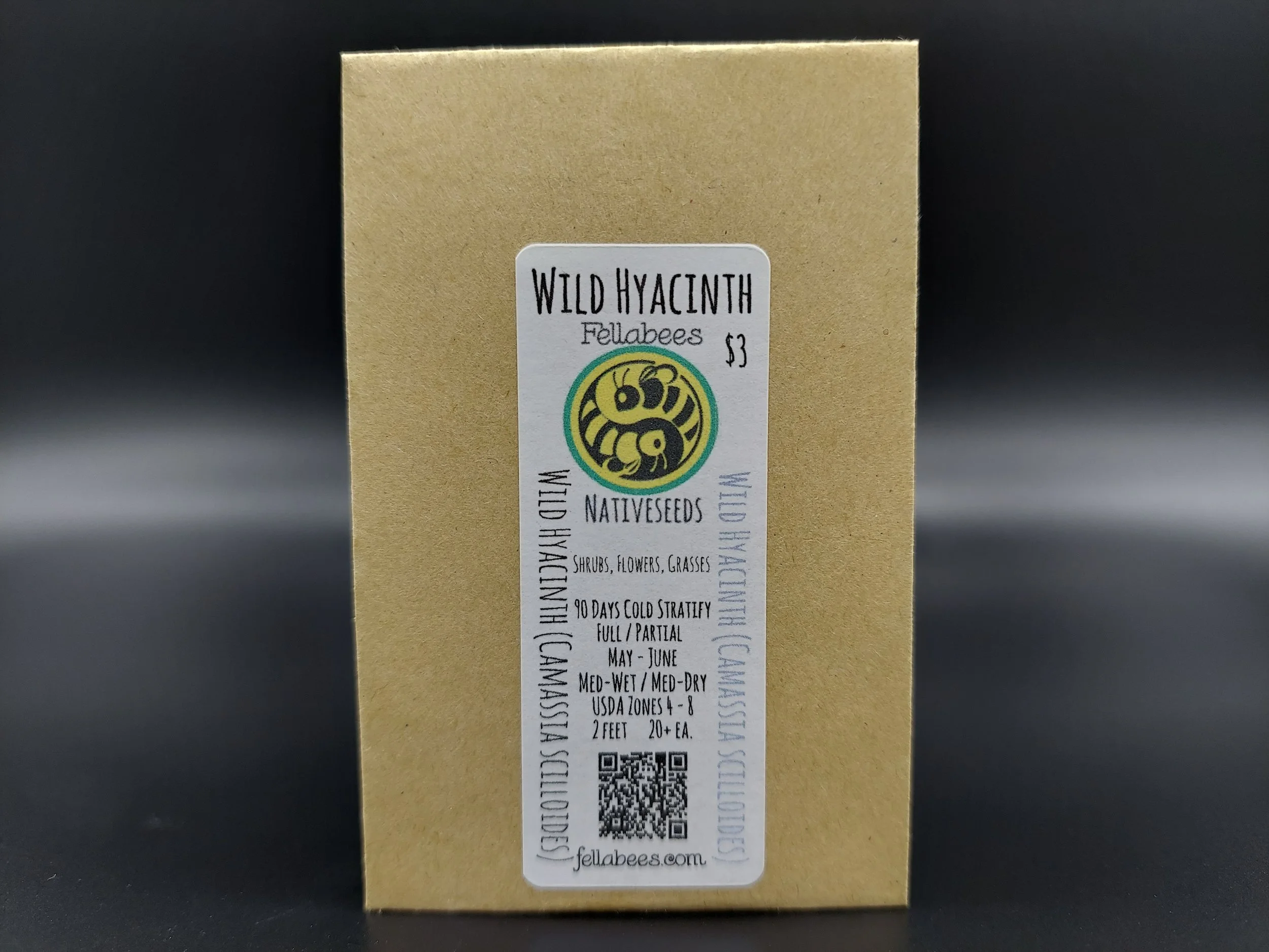 Wild Hyacinth (Camassia scilloides)