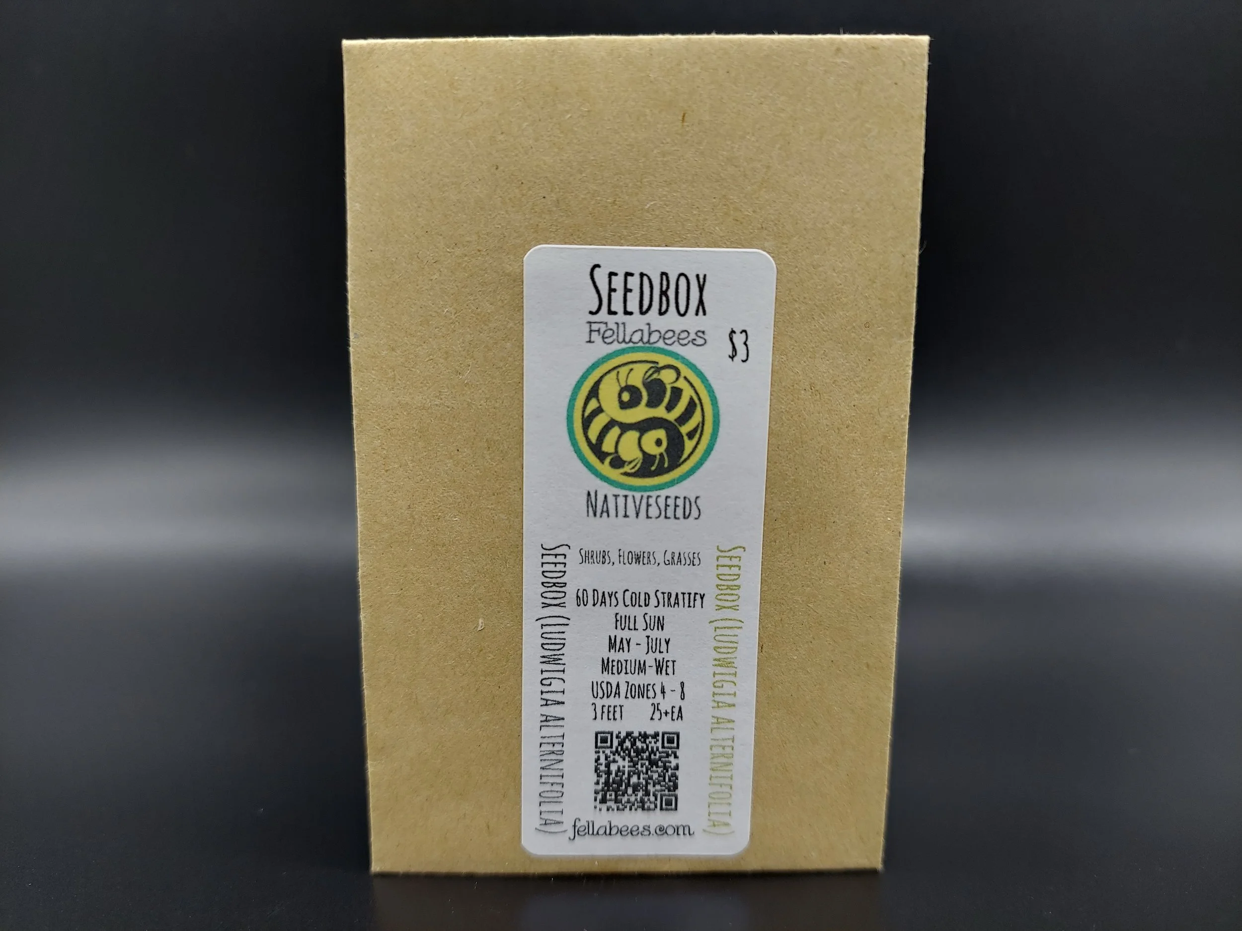 斎藤工　FC　A Seed Seedbox (Ludwigia alternifolia) — Fellabees & Nativeseeds